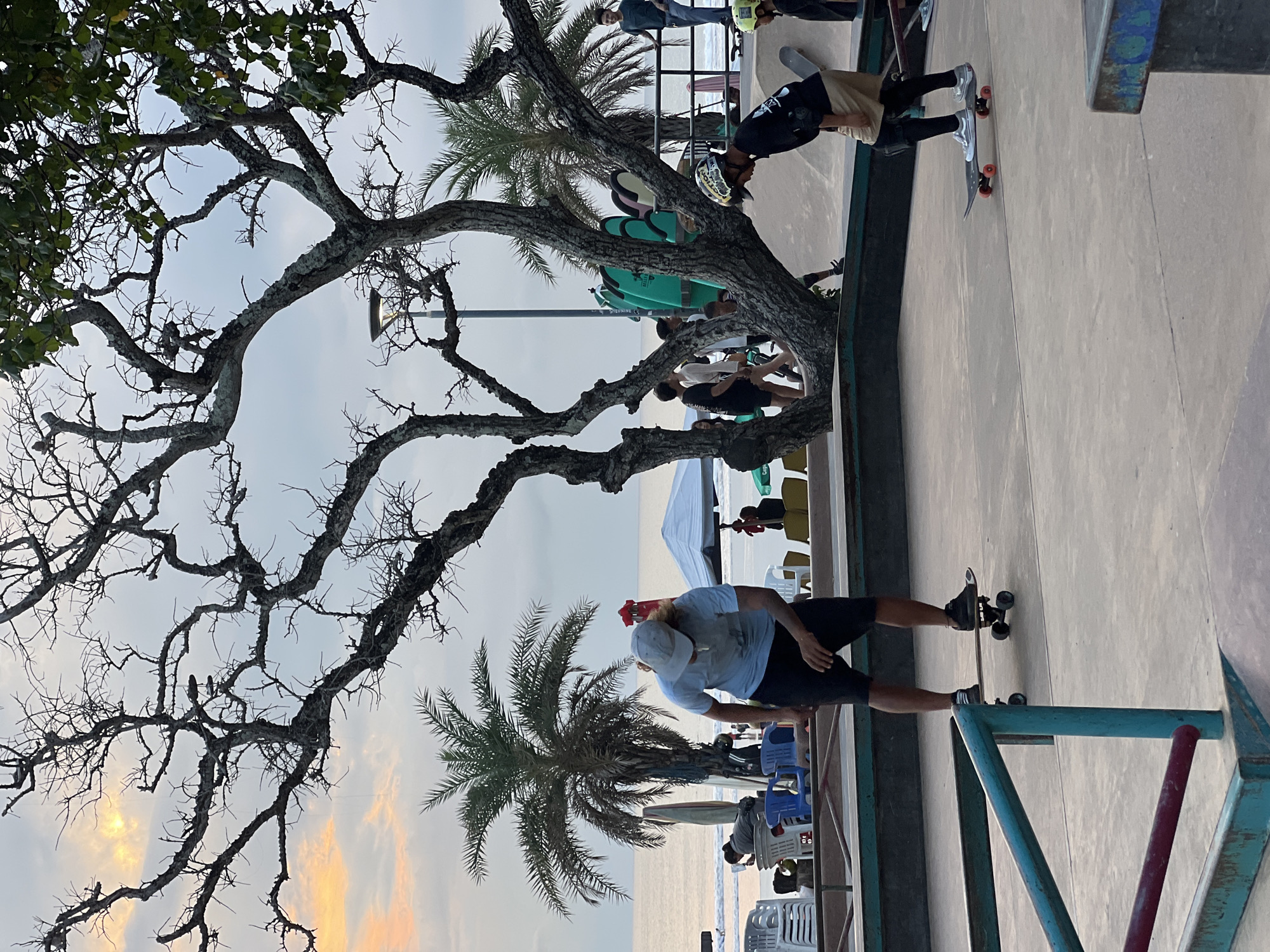 The photograph, taken in Kuta, Indonesia, presents a scene at a beachside skatepark. The sky is overcast, showing a pale blue-gray hue tinged with the golden light of the setting sun near the horizon. A gnarled, leafless tree dominates the left side of the frame, its stark branches reaching towards the sky. Behind the tree, a palm tree is visible, its fronds silhouetted against the sky.
In the foreground, there are two individuals on skateboards. One, dressed in a light blue shirt and dark shorts, stands on a skateboard. The other, clad in dark clothing, is skateboarding on a skate ramp. Additionally, people are seated and standing. The scene suggests an evening gathering at this park. A metal railing is prominent in the foreground. Beach chairs and tables are partially visible.