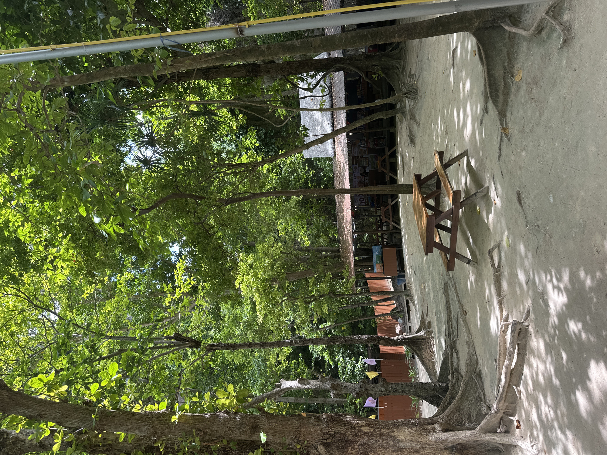 This image depicts an outdoor seating area shaded by lush trees, likely located in Ao Nang, Thailand, given the tropical vegetation and sandy ground. In the foreground, a wooden picnic table with attached benches sits on a sandy patch, its surface dappled with sunlight and shadows filtering through the leaves. Large tree roots snake across the sandy ground, anchoring the mature trees that surround the area. In the mid-ground, a row of open-air stalls or shops with thatched roofs are visible, lined with wooden fencing and adorned with colorful flags. These stalls appear to be shops selling goods, with signs and merchandise displayed. The overall environment suggests a relaxed, tropical setting, possibly a tourist spot or a beachfront establishment. There are no people visible in the image.