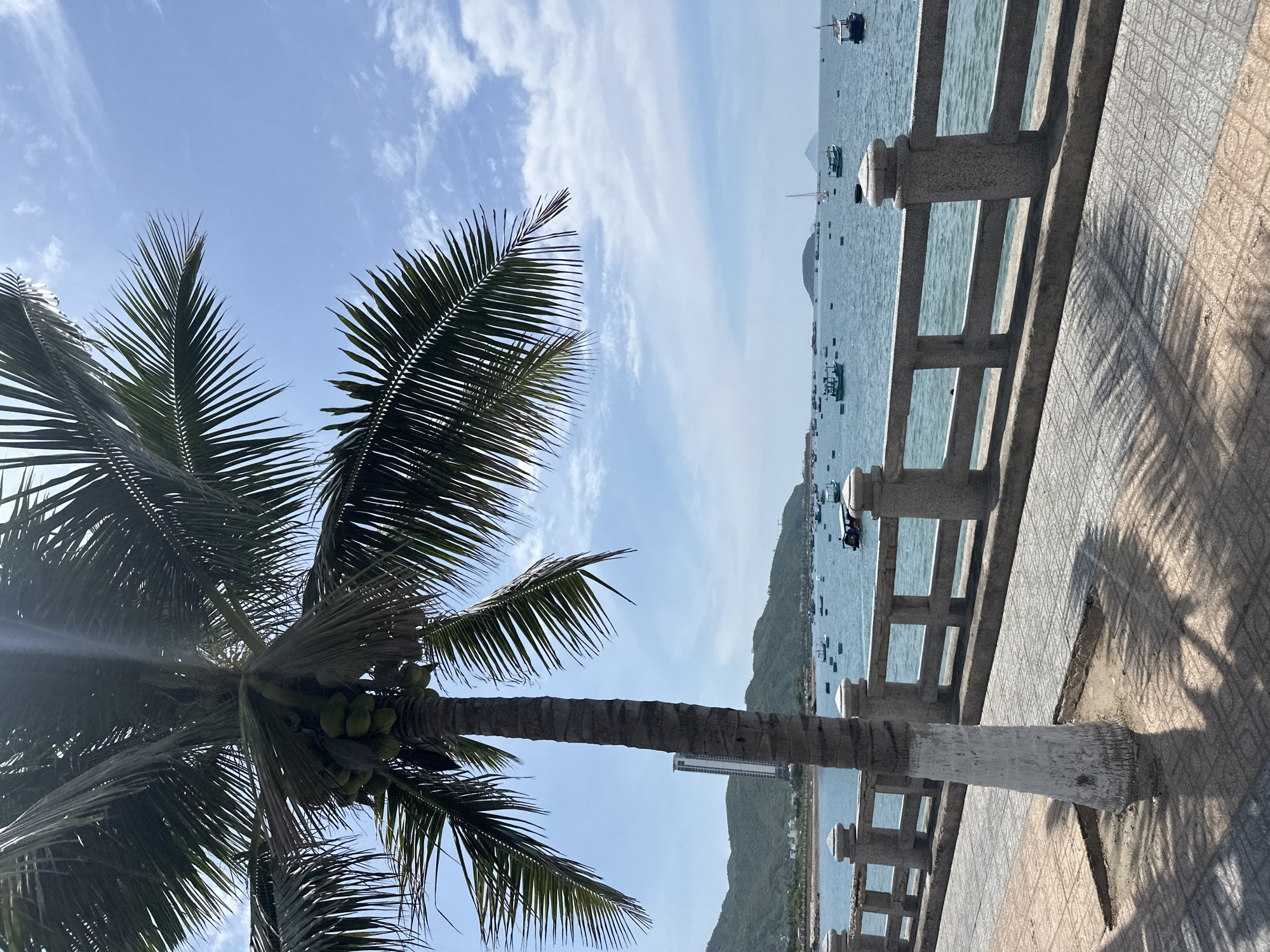 A paved walkway with a stone railing runs along the edge of a body of water under a blue sky with scattered clouds. A palm tree with coconuts grows on the left side of the walkway, casting a shadow on the pavement. In the water, numerous small boats are anchored. In the distance, a coastline with green hills and a tall building can be seen. The location appears to be a scenic area in the city of Bac Nha Trang Ward, Vietnam.