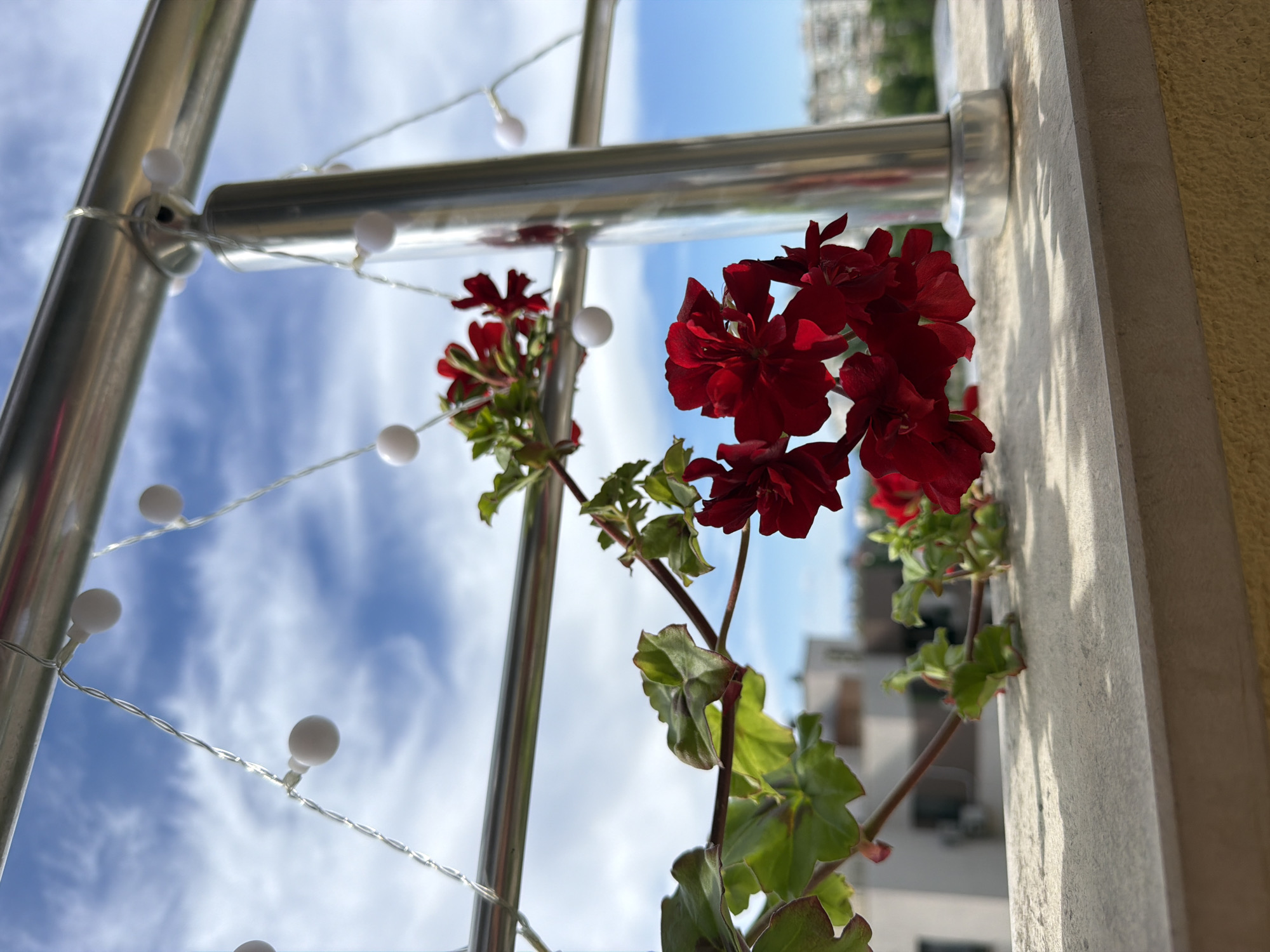 The image shows a close-up of a balcony railing with a flowering plant, likely a geranium, with dark red blossoms. The railing appears to be made of polished metal and has a string of small, round, white lights attached to it. Behind the railing, the sky is visible with scattered white clouds. In the distance, there are buildings that seem to be part of an urban landscape, likely in the city of Sofia, Bulgaria. The flowers are positioned to the right of the railing, with the stems and leaves intertwined around the metal bars. The lighting suggests a bright, sunny day.