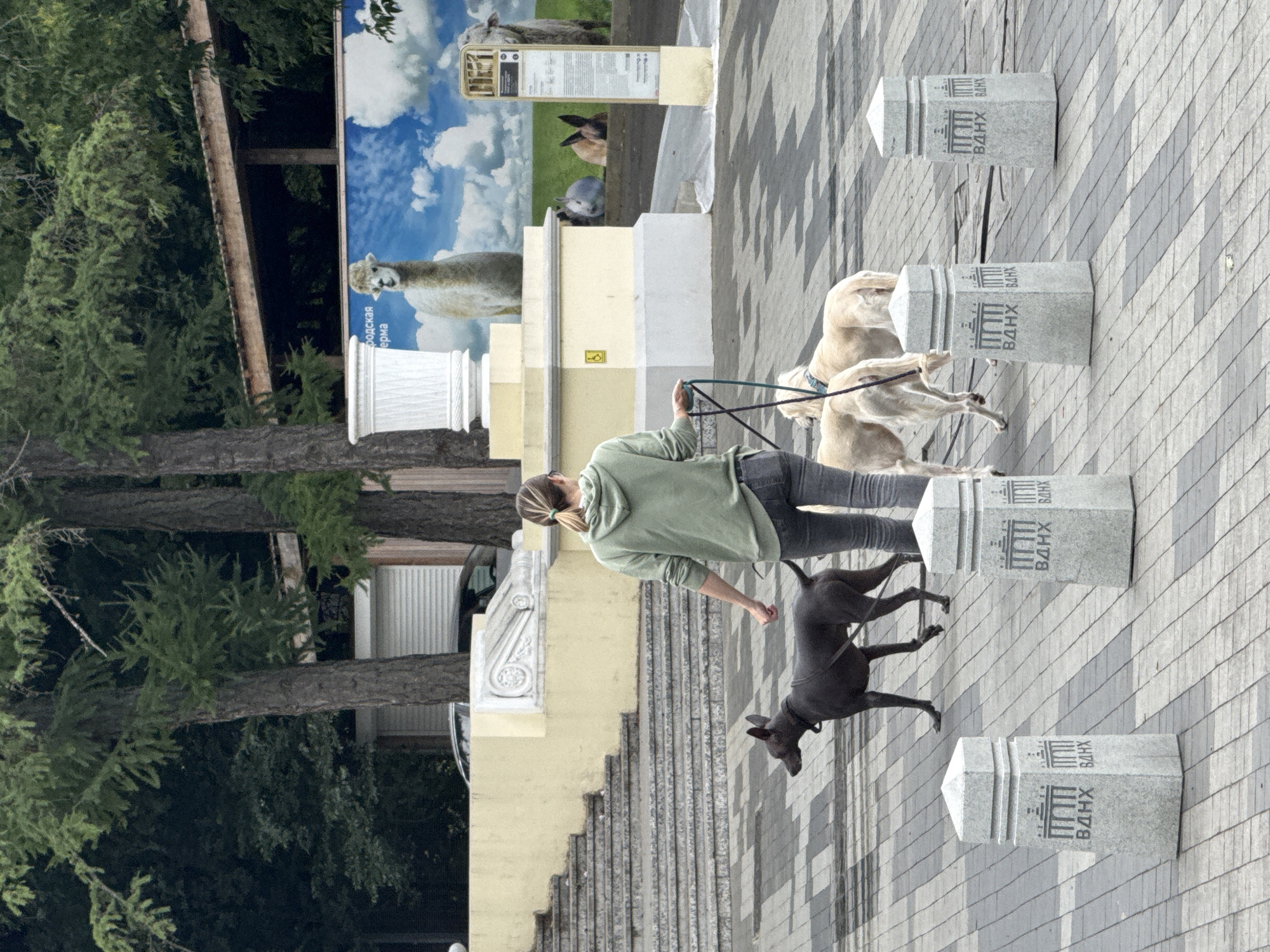 The image shows a woman walking three dogs on leashes in an outdoor paved area. The woman is wearing a green hoodie and grey jeans. She is holding a leash connected to a dark-colored dog in the front and another leash connected to two lighter-colored dogs behind it. The area is paved with square tiles and has several large, square, granite bollards with an emblem and Cyrillic text that reads "ВДНХ". In the background, there are stairs leading up to a yellow structure. Further back, there is a mural depicting alpacas and other animals against a cloudy sky. Trees are visible in the upper portion of the image. The location is the VDNKh (Exhibition of Achievements of National Economy) in Moscow, Russia.