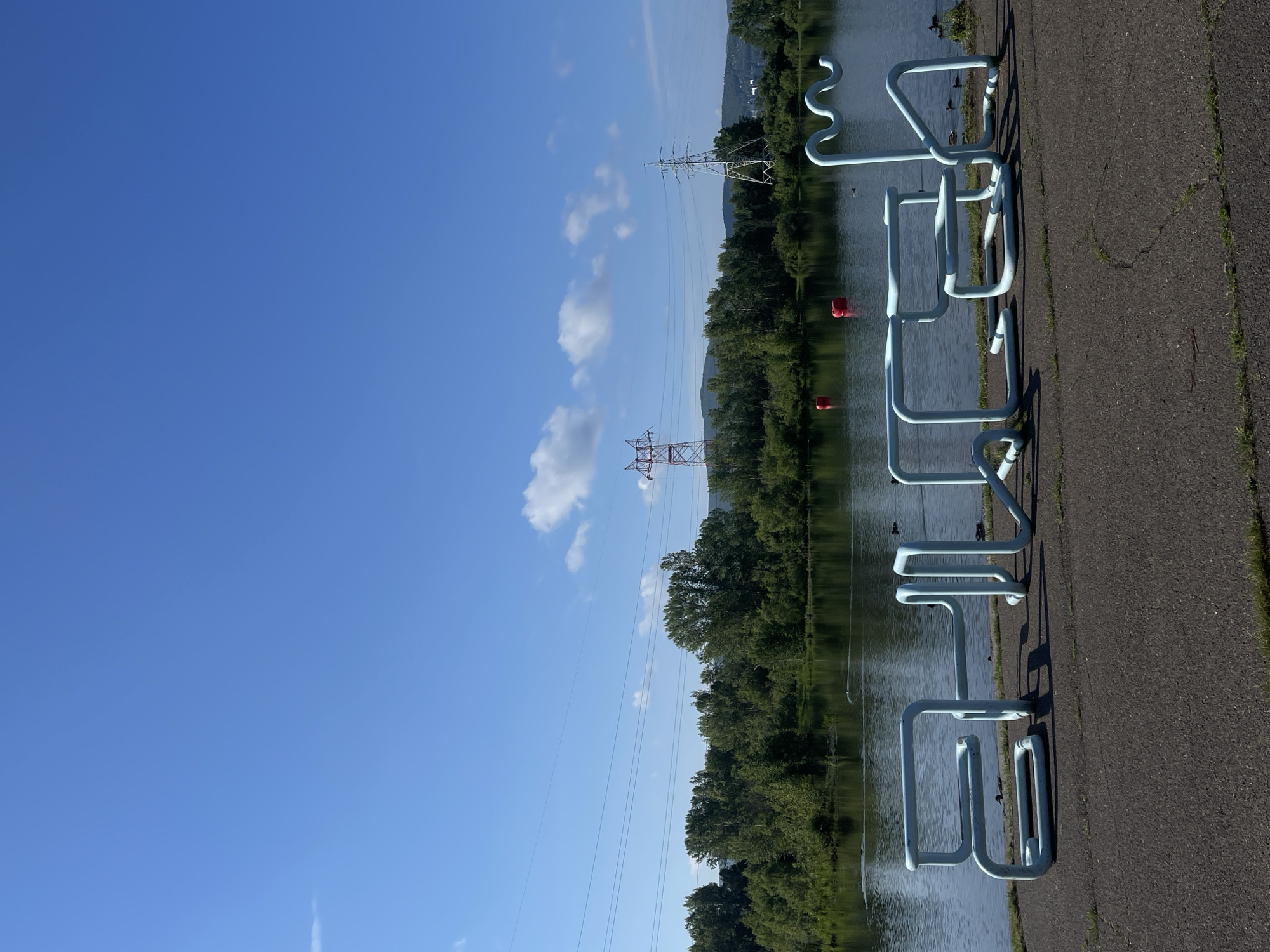 The image depicts a public artwork installed along the embankment of the Yenisei River in the city of Krasnoyarsk, Russia. The artwork is a light blue, tubular sculpture that forms abstract, flowing shapes, resembling stylized letters or an animal. In the background, the Yenisei River stretches wide, reflecting the clear blue sky dotted with a few wispy clouds. Dense green trees line the opposite bank of the river, interspersed with distant hills and mountains. Several high-voltage electricity pylons are visible against the sky, indicative of the region's infrastructure. Red buoys float on the water's surface, and several ducks can be seen swimming or resting on the water and along the embankment. The foreground shows a paved pathway and a patch of grass, suggesting a park or recreational area. The overall scene is serene and captures a sunny day in a natural setting enhanced by human artistic intervention.