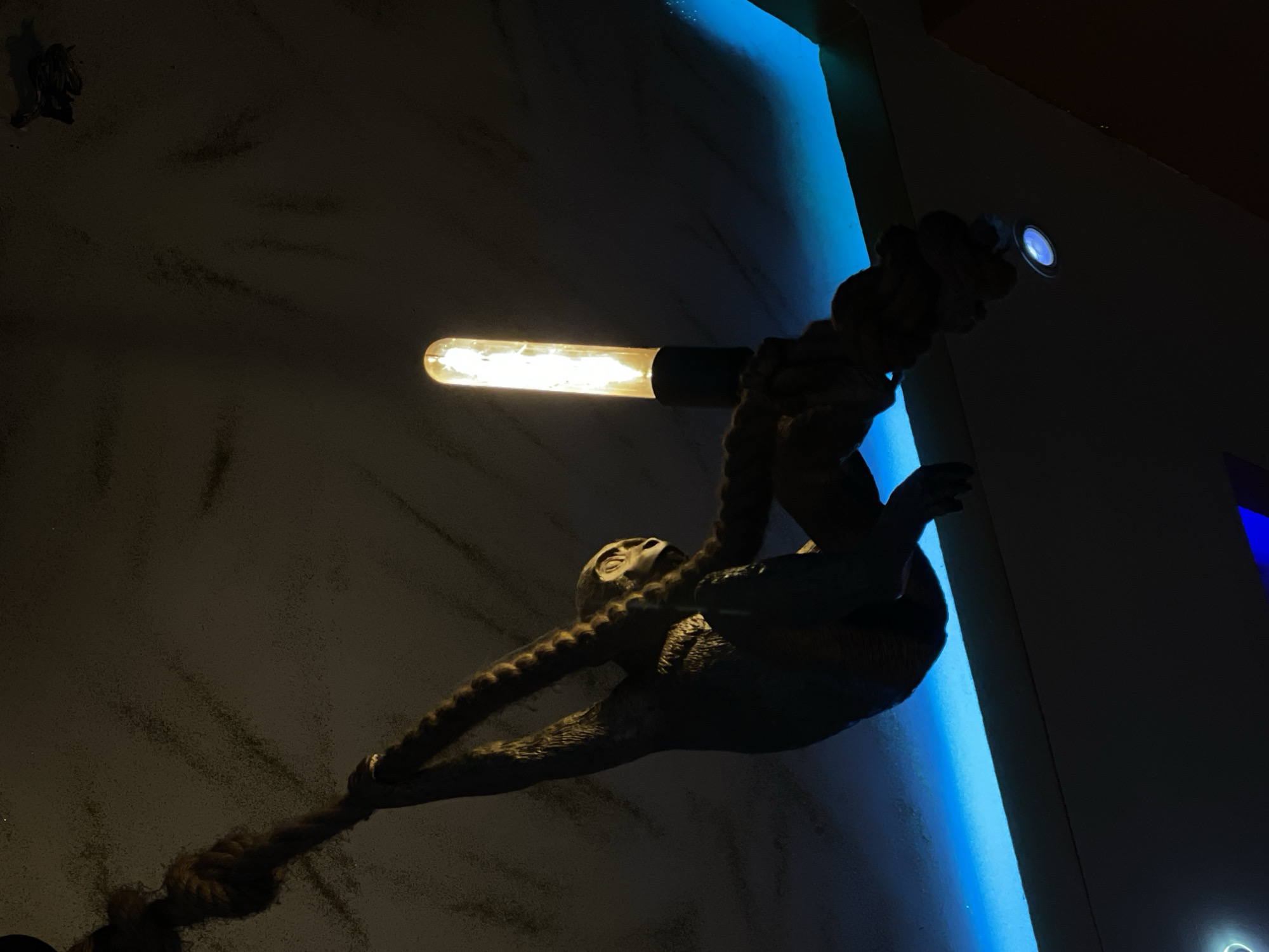 An indoor low-angle shot reveals a dark wall with a decorative light fixture. The fixture features a monkey sculpture hanging from a rope, which holds an elongated light bulb at its midsection. At the top, the monkey sculpture holds a spotlight that is pointed upwards. A bright blue vertical light source is partially visible in the background. A smaller, unidentifiable dark object is in the upper left corner of the wall. The location of the shot is in Obosi, Nigeria.