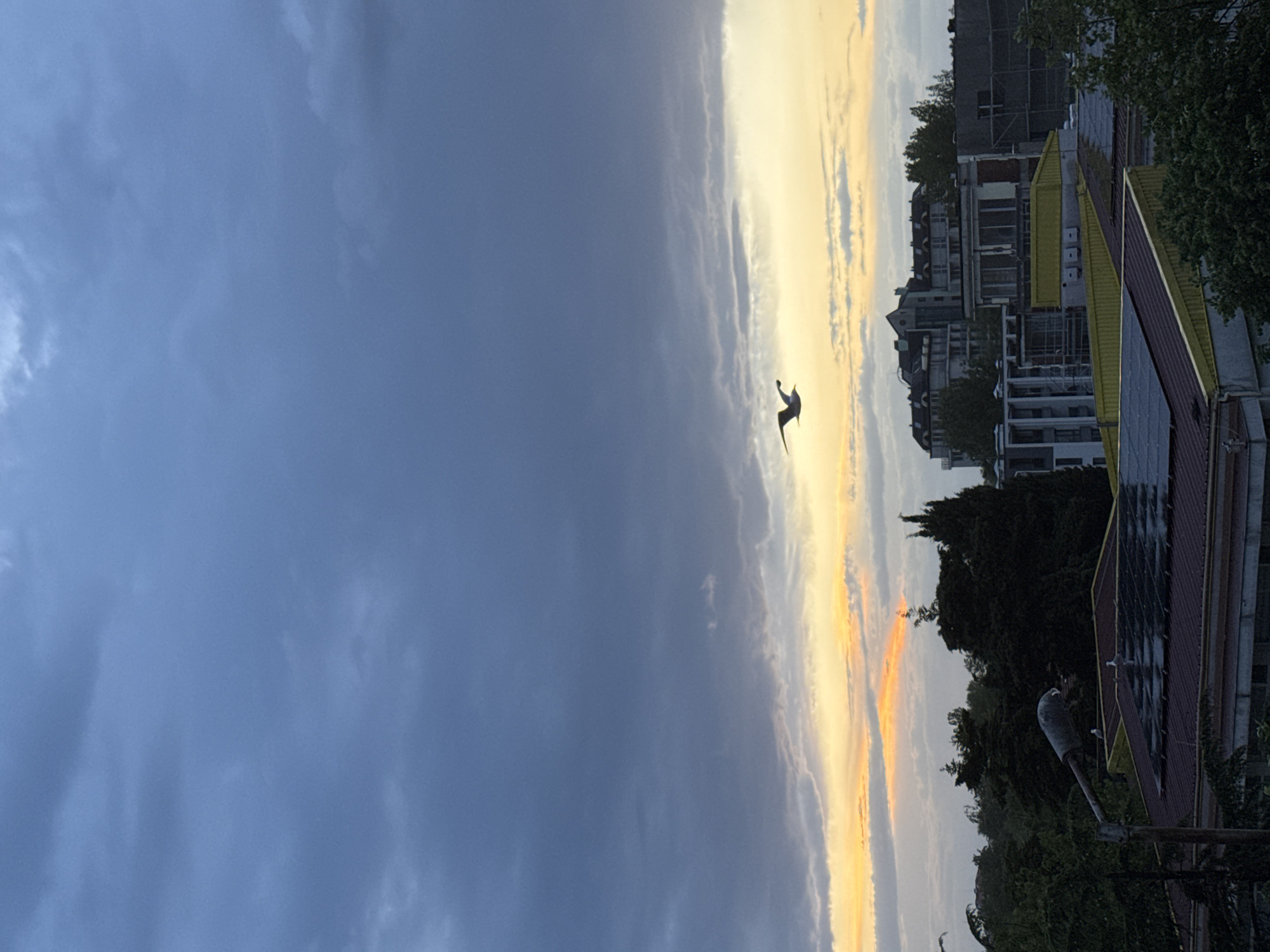 The image depicts a dramatic sky over an urban landscape, likely during either sunrise or sunset in Tsarevo, Bulgaria. The sky is divided by contrasting light and shadow; the left portion is dominated by dark, heavy blue-grey clouds, while the right side glows with warm hues of yellow, orange, and lighter blues, indicating the presence of the low sun. Wispy clouds stretch across the horizon, catching the golden light.
A solitary bird, possibly a seagull, is captured mid-flight, silhouetted against the brightest part of the sky with its wings outstretched. Below the horizon, a cluster of buildings forms a semi-urban setting. Some structures appear to be residential, with one in the background showing signs of construction or renovation with visible scaffolding. Distinctive yellow roofs are visible on some buildings, and solar panels can be seen on another roof. Green trees and dense foliage are scattered throughout the scene, particularly on the right, providing a natural element against the built environment. A street light or utility pole is also present in the lower right corner. The overall impression is one of natural beauty juxtaposed with urban development during the golden hour. No specific human activity or visible text is present.