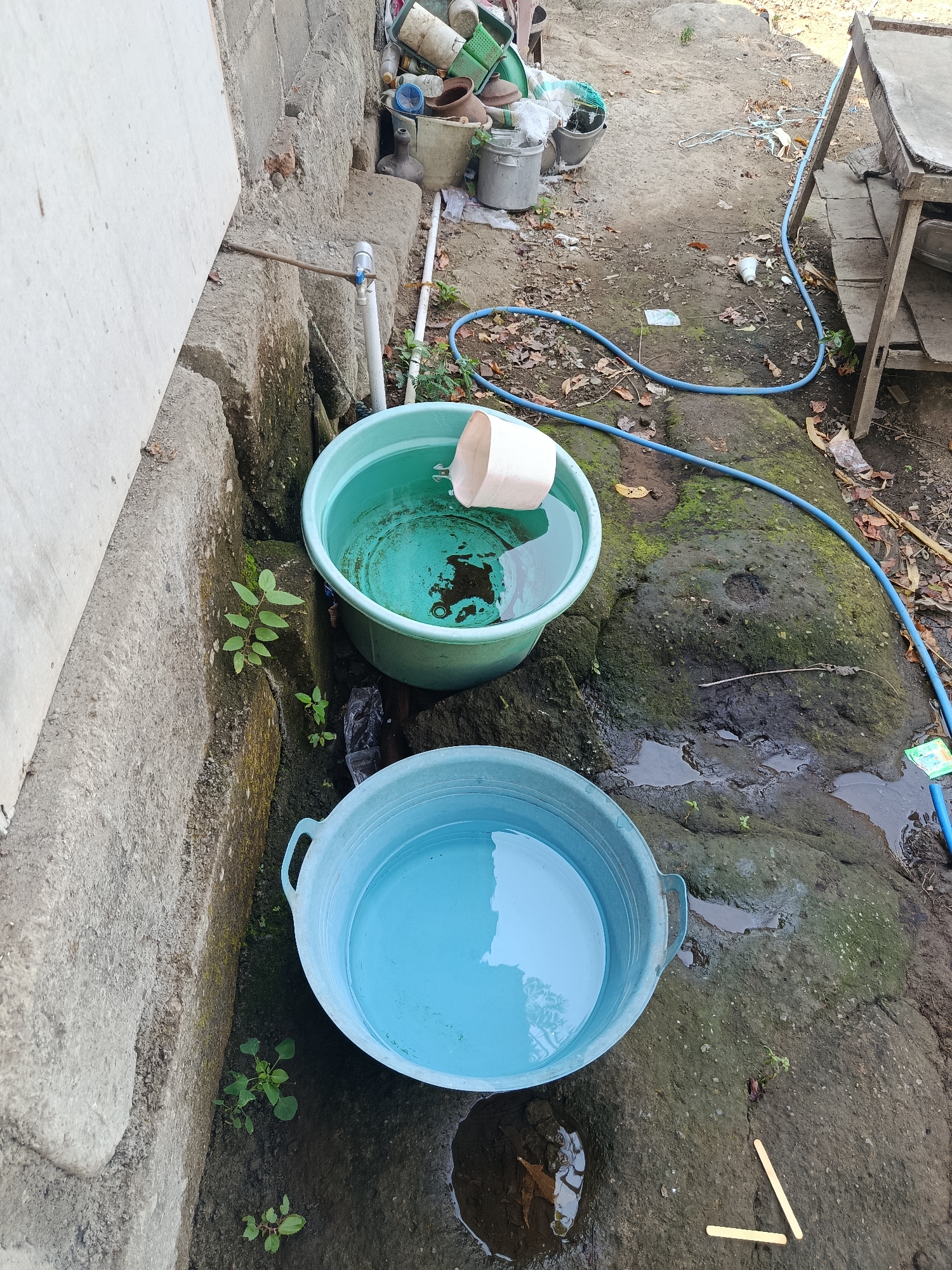 The image depicts an outdoor scene in a rural area, possibly a backyard or alleyway, in Lamongan, Indonesia. Two plastic basins are prominently featured. The upper basin, a teal color, is partially filled with water and contains a light-colored plastic cup. The lower basin, a lighter blue, is filled with clear blue water. The basins are situated on uneven, rocky ground with patches of moss and some small plants growing in the crevices. A blue hose snakes across the ground, connecting to a spigot on a pipe that is emerging from a concrete structure. In the background, there are piles of various objects, including buckets, plastic containers, and what appear to be discarded household items. A wooden structure, possibly a makeshift table or shelf, is visible on the right side of the frame. The overall impression is one of a utilitarian, outdoor water collection setup in a somewhat cluttered environment.
