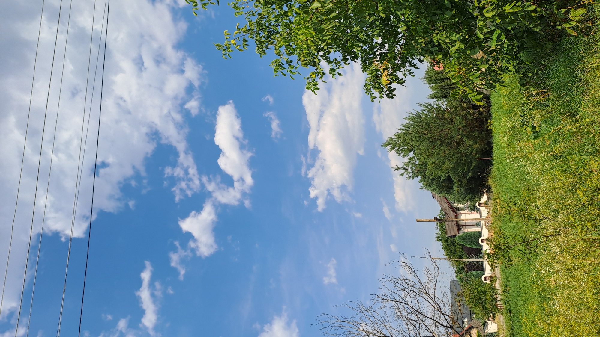 A wide-angle, eye-level outdoor shot depicts a rural residential area under a bright blue sky with scattered white clouds. Power lines crisscross the upper portion of the frame. In the foreground, a field of tall green grass and wildflowers dominates, with a bare-branched tree on the left and a lush green tree on the right. Beyond the field, a house with a light-colored facade and a brown roof is visible, partially obscured by various trees, including evergreen pines. A wooden cross-like structure stands in front of the house. Several other houses and manicured bushes line the property behind a low white wall. The scene appears to be a quiet, daytime view of a suburban or village setting in Kolomyia, Ukraine.