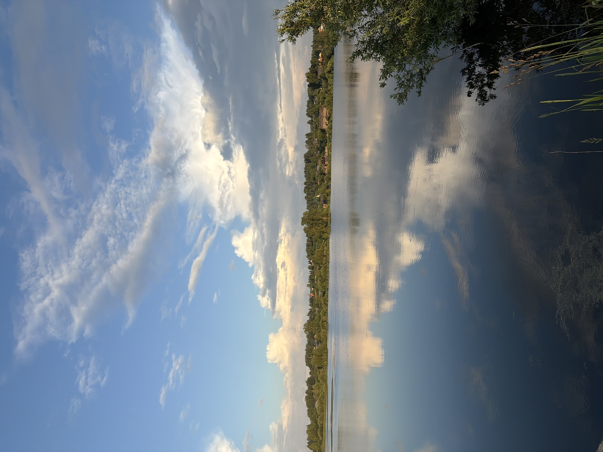 The image shows a serene natural landscape at the edge of a body of water, likely a lake or a wide river, in Большая Уса, Russia. The sky is a prominent feature, filled with a dramatic array of clouds ranging from light, wispy formations to larger, more dense formations that are tinged with the warm hues of the setting or rising sun. These clouds are beautifully reflected on the calm surface of the water, creating a mirror-like effect.
Along the far bank of the water, a dense line of trees forms a natural horizon. Behind the trees, the rooftops of houses are visible, suggesting a settlement or village nestled within the landscape. The foliage is lush and green, characteristic of a temperate climate.
In the foreground, on the right side of the image, a cluster of green branches and leaves from a tree overhangs the water. Some dry grasses and reeds are also visible along the water's edge, adding a touch of wildness to the scene. The water itself appears dark and tranquil, with subtle ripples disturbing its otherwise smooth surface in places. There are no people or animals clearly visible in the image. The overall impression is one of peaceful natural beauty.
