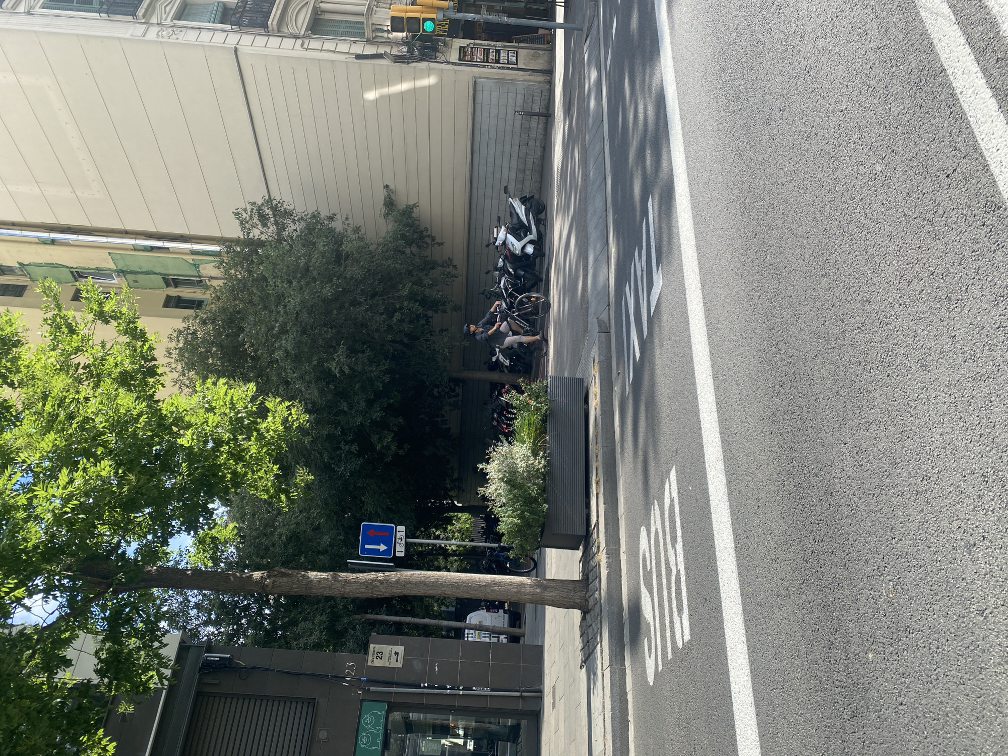 The image shows a street scene in Barcelona, Spain. In the foreground, a white "BUS" marking is painted on the asphalt road. A white line is visible to the left of the "BUS" marking, and another white line is painted on the road to the right.
In the middle ground, there is a sidewalk with a planter box containing green shrubs. To the left of the planter box is a tree trunk. A traffic sign showing two vertical arrows, one blue with a white downward arrow and the other red with a white upward arrow, along with a bicycle symbol, is positioned behind the planter box. Adjacent to the sidewalk, several parked motorcycles and scooters are visible. A person is riding a bicycle on the sidewalk near the parked vehicles. Further back, a building with a light-colored facade and balconies can be seen. A traffic light with a green signal is visible on the right side of the image, attached to a pole.
In the background, more buildings are visible, with trees and foliage interspersed. The sky is bright and appears to be a clear day. The overall impression is a typical urban street in Barcelona, with a mix of traffic, pedestrians, and architecture.