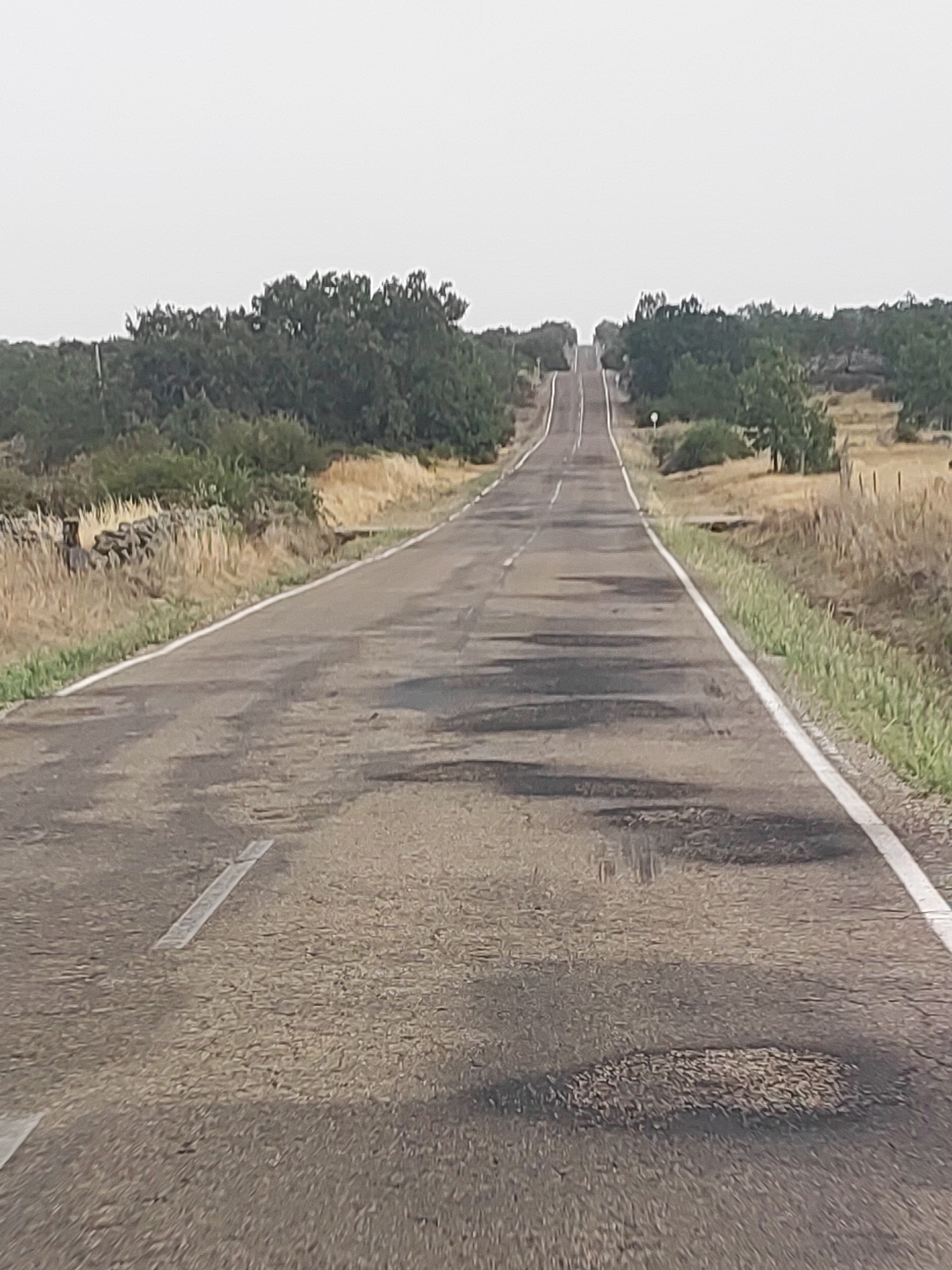 The image shows a road in Piñuel, Spain, stretching into the distance and curving slightly. The road surface is asphalt and appears worn, with visible patches and potholes. A white line marks the edge of the road. On either side of the road, there are fields of dry grass and bushes, with scattered trees forming a treeline in the distance. The sky is overcast and pale. There are no people or vehicles visible in the image. The scene appears to be a rural landscape.