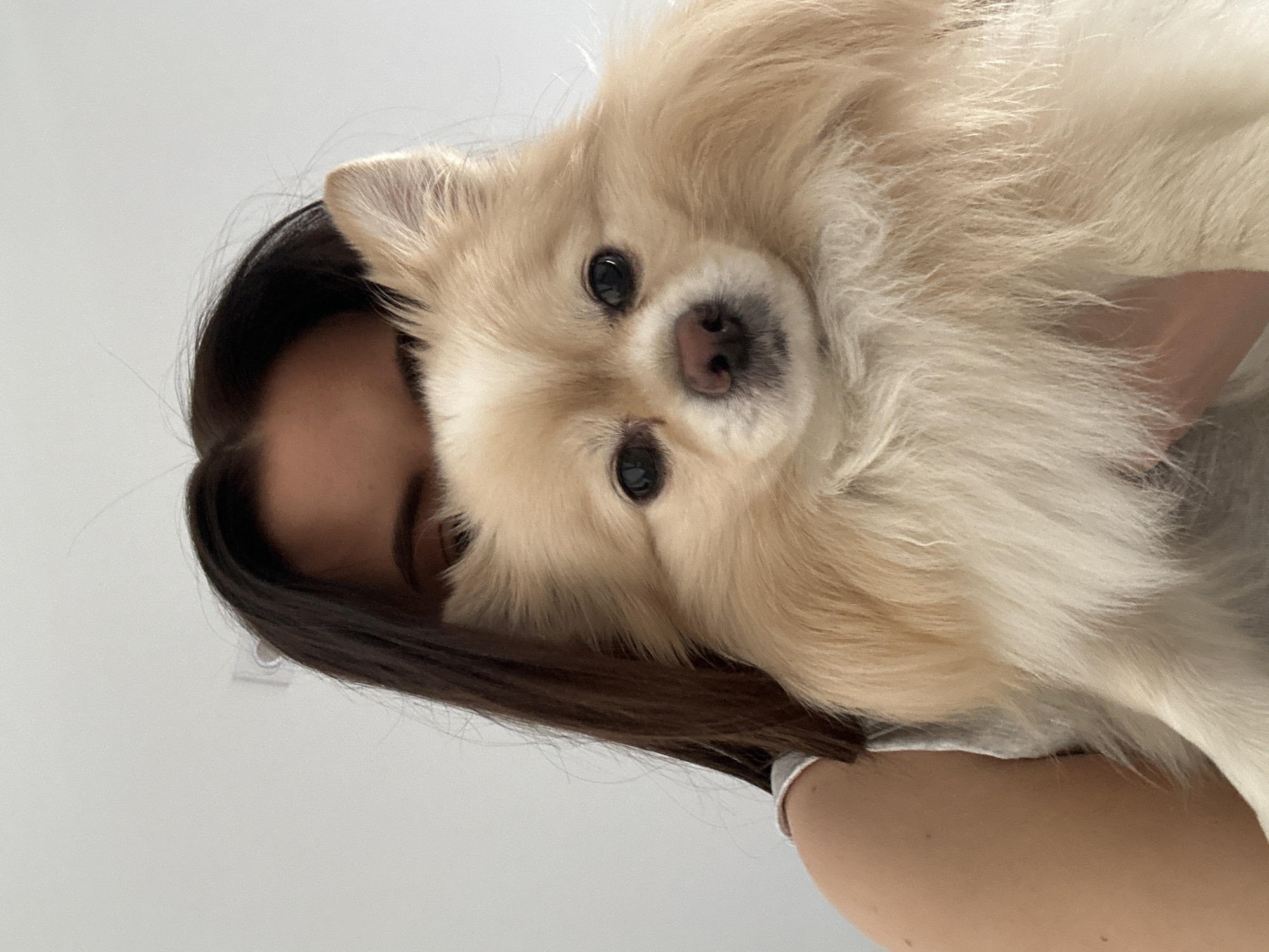 A light-skinned person with dark hair holds a fluffy, light-colored Pomeranian dog in front of their face. The person is wearing a light-colored tank top. The background is a plain white wall, suggesting an indoor setting. The dog's face is clearly visible, with dark eyes and a pink nose. The image appears to be a selfie taken at home in Kyiv, Ukraine.
