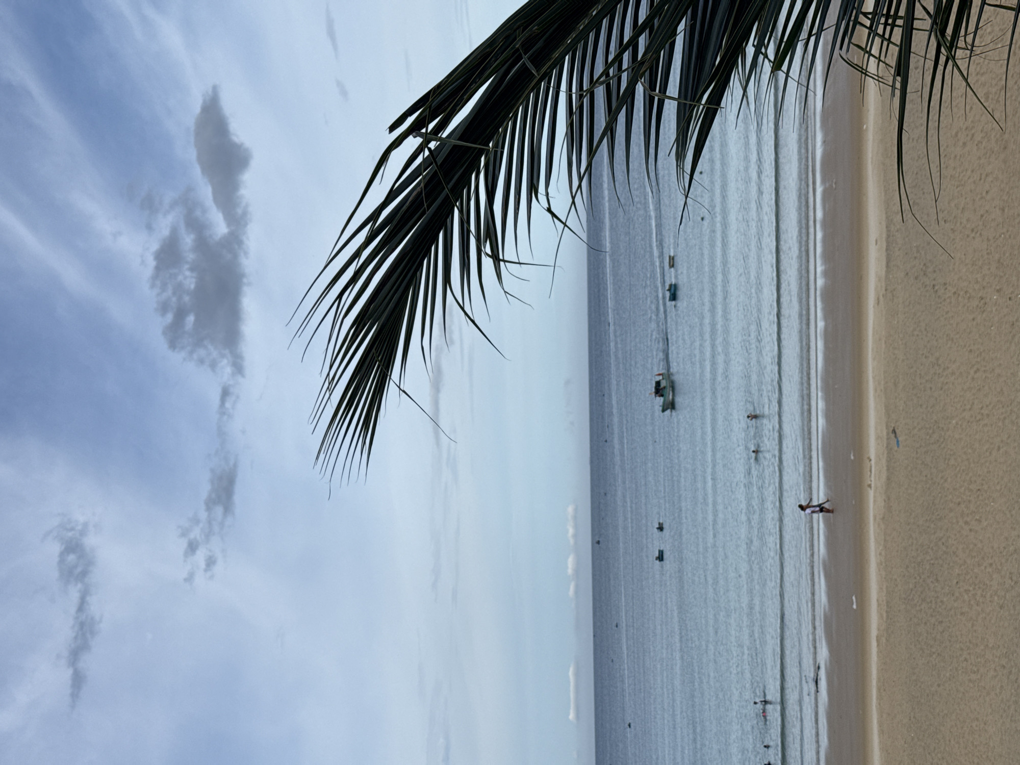 This is a medium-shot, eye-level, vertical photograph of a beach scene with a palm frond obscuring the right side of the frame. The sky is a pale blue with scattered, wispy clouds. The ocean is a calm, deep blue, with gentle waves lapping at the shore. Several small boats are visible in the distance. The beach is made of light brown sand, and there are a few people scattered along the shoreline and in the shallow water. One couple is walking along the wet sand near the water's edge. The overall mood is peaceful and serene.