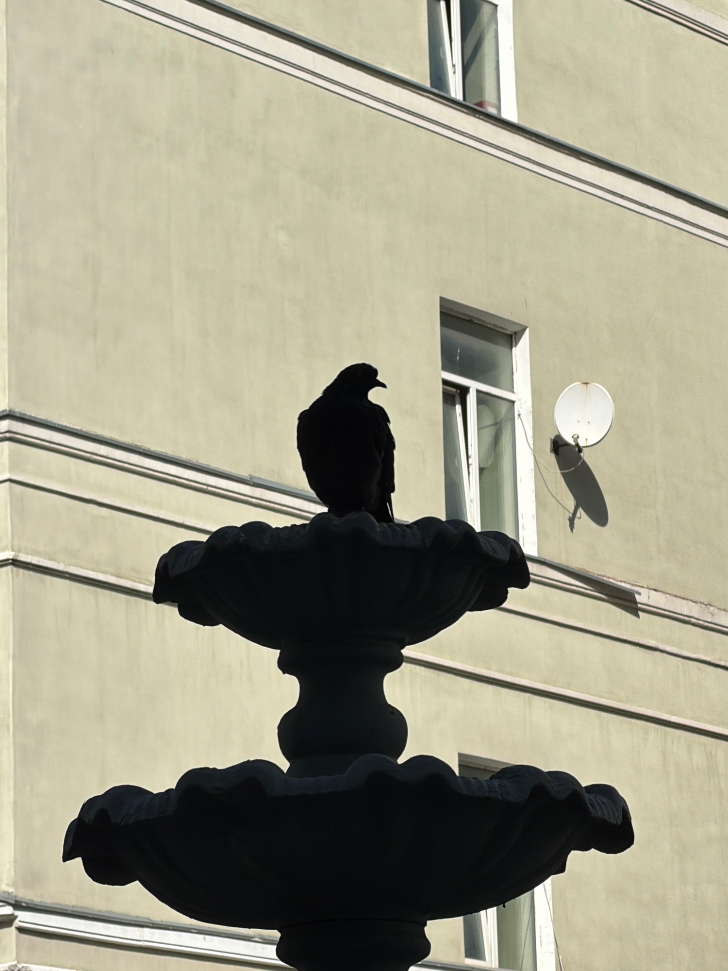 A silhouetted bird sits on top of a decorative fountain. The bird is dark and appears to be a pigeon. The fountain is multi-tiered and also silhouetted. In the background, a light-colored building with white trim is visible. There are windows and a satellite dish on the building. The lighting suggests it is daytime, with the sun casting shadows. The scene appears to be in an urban environment, possibly a public square or courtyard. There are no people visible in the image.