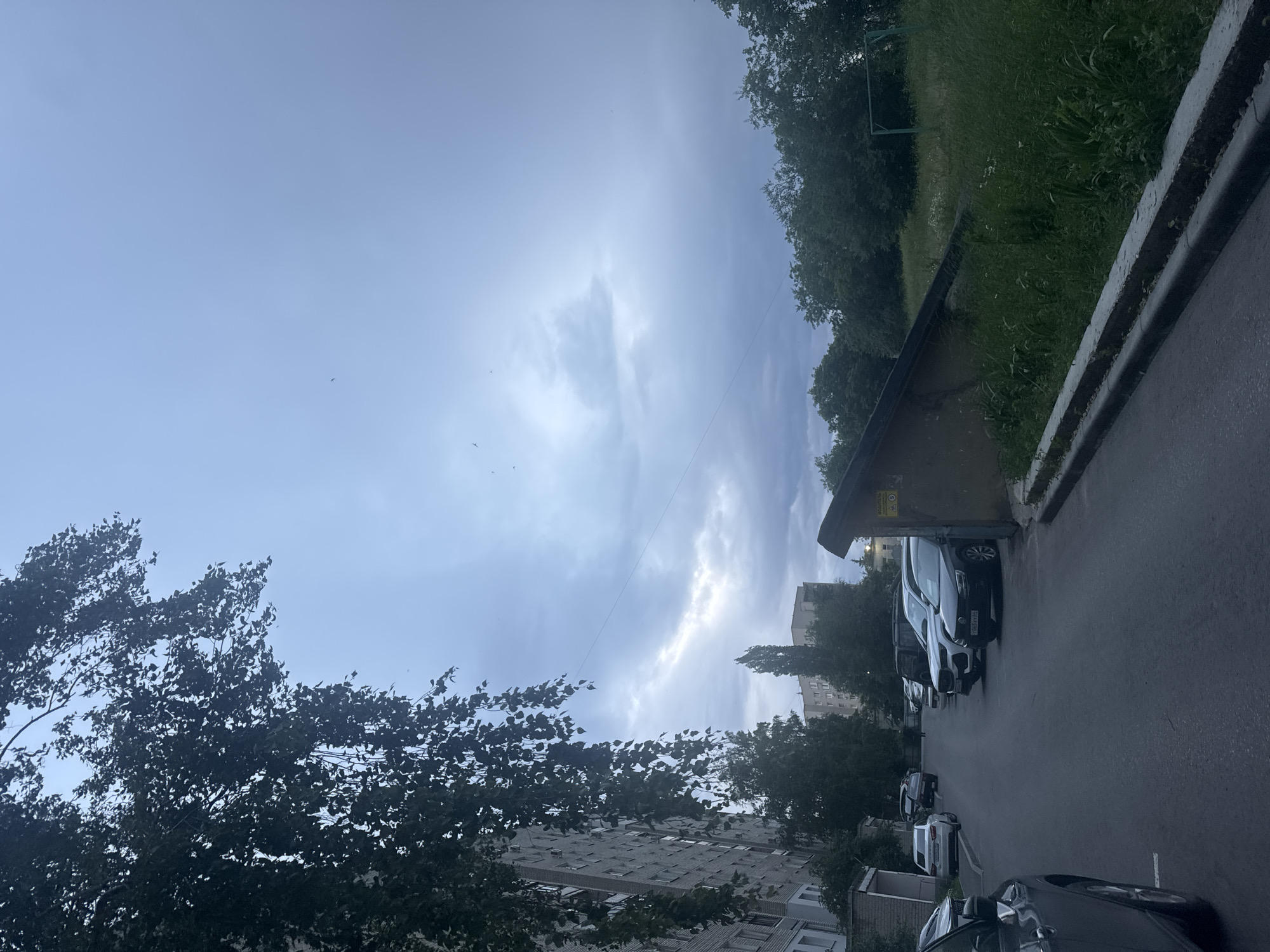The image depicts a street scene in a residential area, likely in Saratov, Russia, under an overcast sky. In the foreground on the left, the side of a dark-colored car is visible. The street itself is paved and curves to the right. Several parked cars are visible along the side of the street, including a white sedan, a dark SUV, and other vehicles.
To the left, a multi-story apartment building dominates the frame, with numerous windows. Overhanging tree branches with dark green leaves are also prominent on the left side, partially obscuring the sky and the building.
On the right side of the street, a low, angular concrete structure with a sloping roof is visible, positioned next to a grassy embankment. The embankment is overgrown with tall green grass and some sparse white flowers. Further back, a dense line of green trees forms a backdrop, and beyond that, more apartment buildings can be seen, including a taller, slimmer building in the middle distance. The sky is a muted blue-gray, with visible clouds and faint sunlight filtering through. Small, dark specks, possibly birds, are scattered across the sky. A yellow warning sign with Russian text and symbols is attached to the concrete structure on the right. The overall impression is of a typical urban environment during daytime, possibly before or after rain.