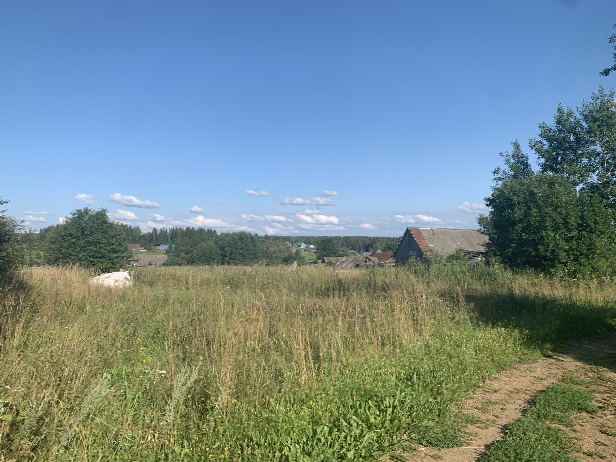 The image depicts a rural landscape under a bright blue sky with scattered white clouds. In the foreground, a dirt path curves through a field of tall, dry grass and scattered green vegetation. To the left of the path, a large white object, possibly a rock or a tarp, is partially obscured by the grass. In the middle ground, a cluster of rustic buildings, including a prominent grey-roofed structure, are nestled amongst trees. The background features a dense line of dark green trees, suggesting a forest or woodland. The overall impression is one of a serene, undeveloped countryside, consistent with a rural setting like Panteleevka, Russia. There are no people or animals visible in the frame.