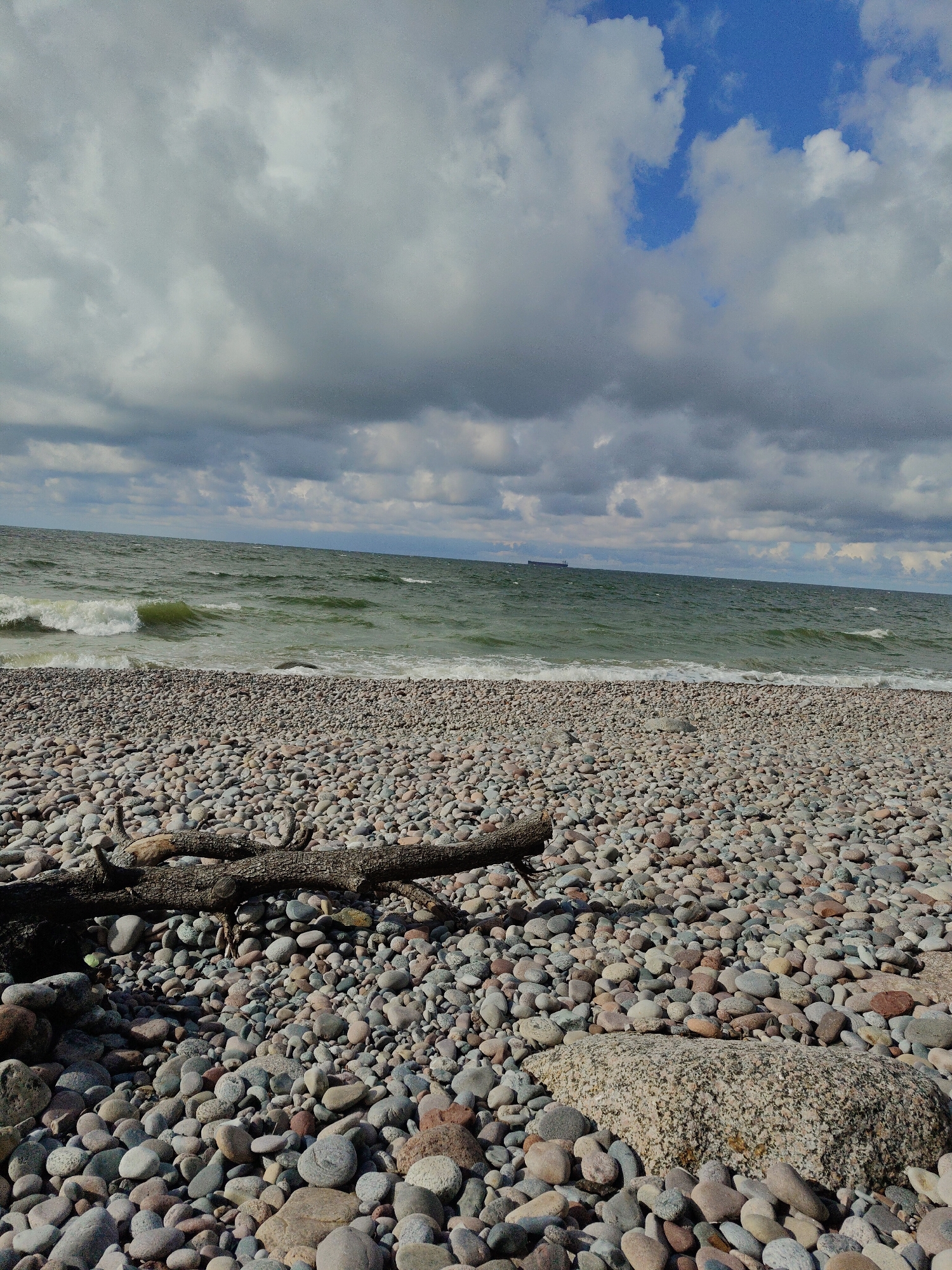 The image depicts a pebble beach in Pionersky, Russia, under a partly cloudy sky. In the foreground, a weathered tree branch lies across a densely packed bed of smooth, multi-colored pebbles. The middle ground features the choppy, green water of the sea meeting the shore with small waves. A distant cargo ship is visible on the horizon. The sky above is a mix of dark, heavy clouds and patches of bright blue. The overall scene is one of a natural, somewhat rugged coastal landscape.