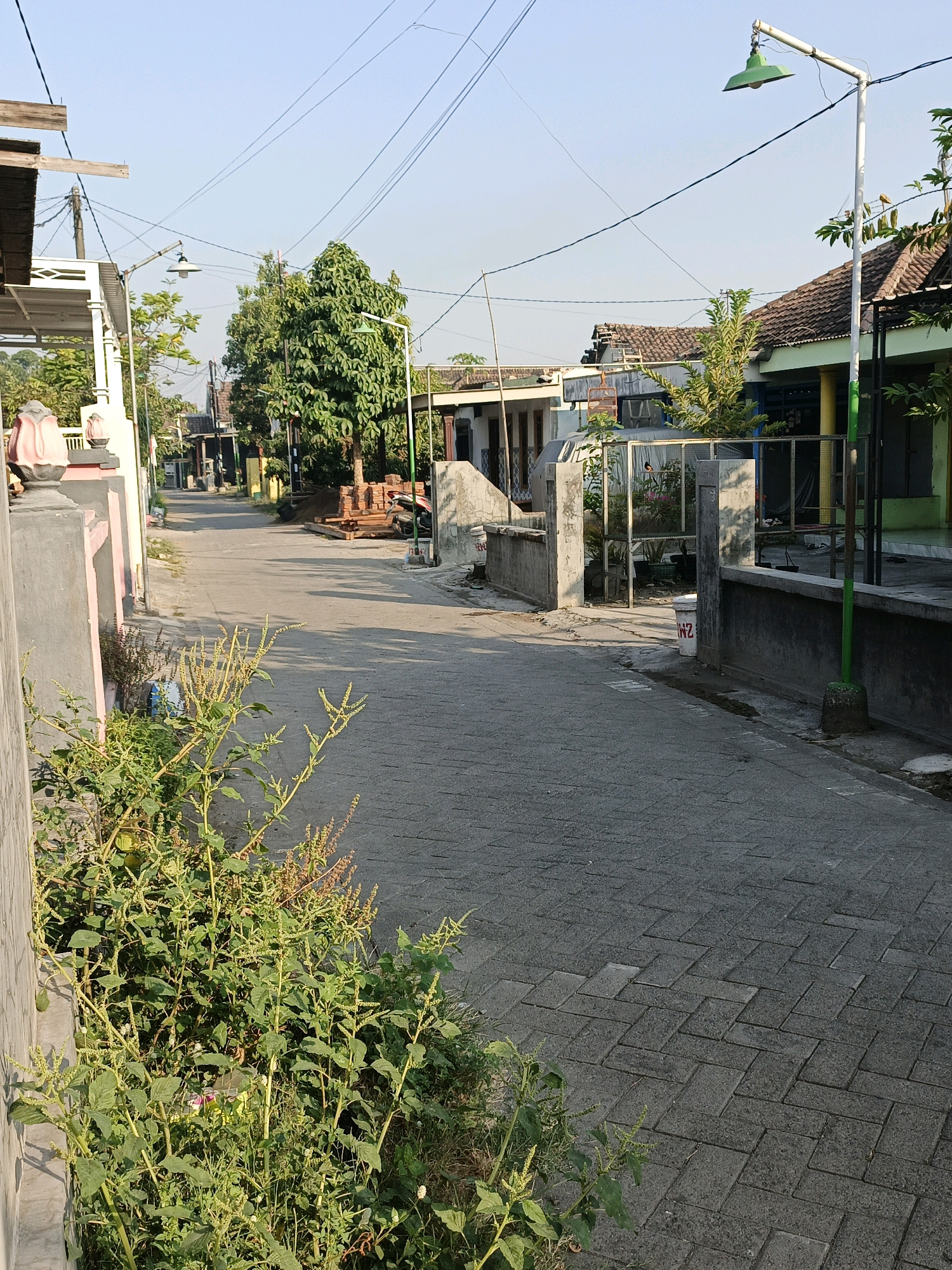 The image depicts a residential street in Ketegan, Indonesia, bathed in clear daylight under a bright sky. The perspective is from ground level, looking down a paved road lined with houses and vegetation. The road itself is constructed of interlocking gray pavers laid in a herringbone pattern.
In the foreground, to the left, a thick patch of green leafy plants with developing seed heads grows alongside a gray concrete wall. Further down the street, on the left side, is a house with a white awning supported by pillars. A pink decorative element is visible atop one of these pillars.
Across the street, on the right side, a light green house with a brown tiled roof is prominent. In front of it, a metal fence encloses an area containing plants and what appears to be a birdcage. A white bucket with red markings, possibly letters or numbers, sits near the fence. A green lamppost with an inverted green lampshade stands near the edge of the sidewalk.
Further down the street, houses of varying designs and colors are visible, with trees and other greenery interspersed. Stacked bricks and a motorcycle are present on the right side of the road further in the distance. Overhead, a network of utility wires stretches across the sky. The overall scene suggests a quiet, typical day in a residential neighborhood.