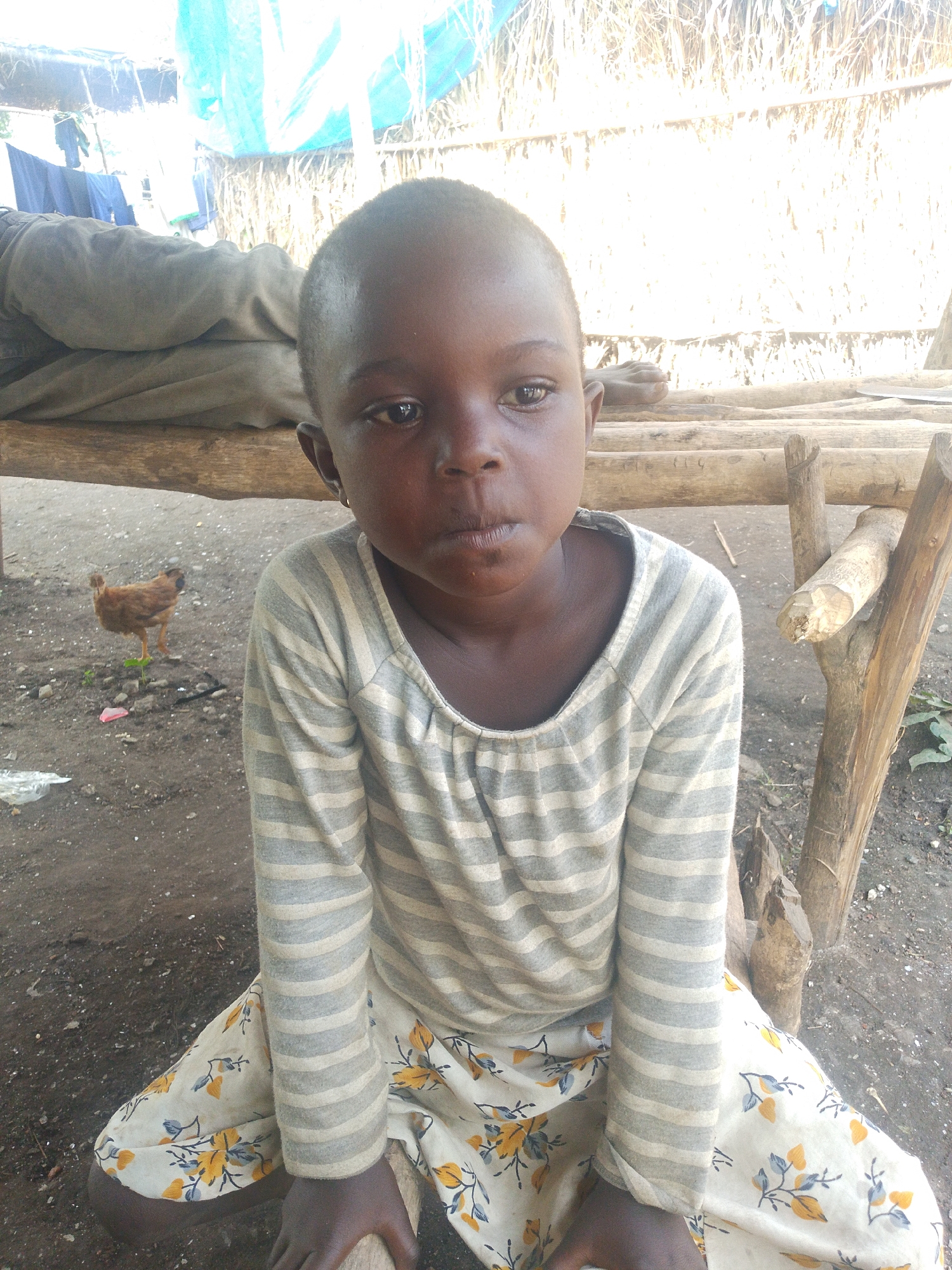 A young African child is captured in a medium close-up, seated on the ground in what appears to be an outdoor environment in Otulu, Nigeria. The child, with dark skin and short hair, is wearing a long-sleeved gray and white striped shirt and a floral patterned skirt in yellow and blue hues. The child's gaze is directed slightly to the right of the camera.
The background reveals a rustic setting. Behind the child, a wooden structure, possibly a bench or a makeshift bed, is visible, made of rough logs. To the left of the child, a small brown chicken is pecking at the ground. The ground itself is composed of dirt and small stones. Further in the background, a thatched roof structure with some blue tarpaulin sheeting suggests a shelter or dwelling. The overall impression is of a humble, possibly rural or semi-urban, environment. The lighting suggests it is daytime.