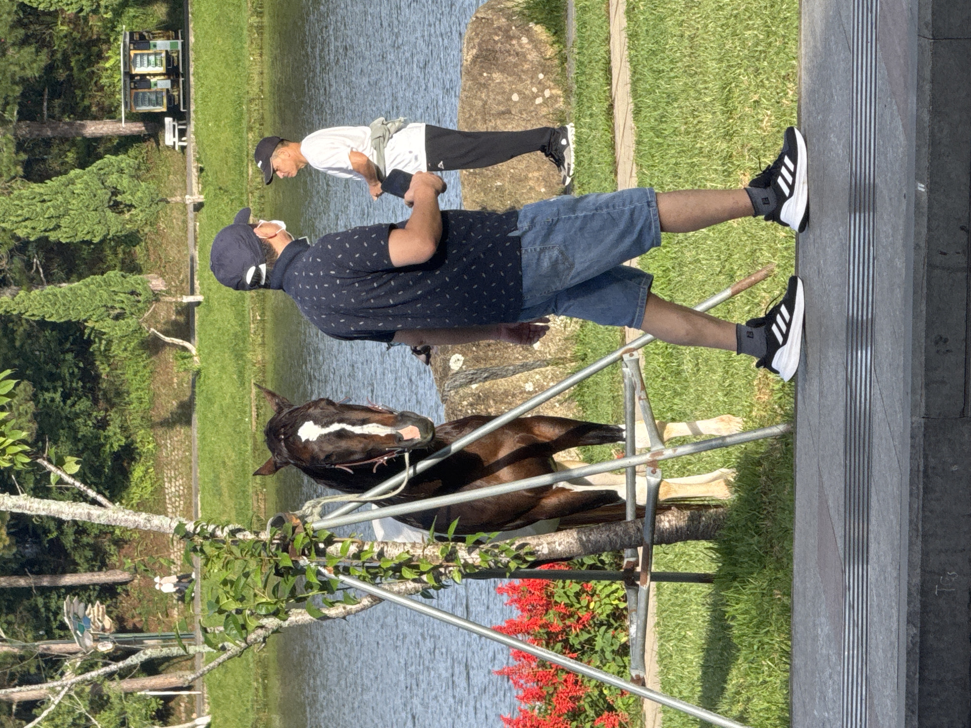 The image depicts a serene outdoor scene, likely in Da Lat, Vietnam, given the presence of pine trees, a lake, and a distinctive vending machine often found in tourist areas. In the foreground, a man wearing a dark, patterned polo shirt, blue denim shorts, a navy blue baseball cap, and white-soled athletic shoes is walking towards the right of the frame. He is wearing a white face mask. To his right and further in the background, another man in a white t-shirt, black pants, and a black baseball cap stands facing the first man.
A brown and white horse is positioned behind a young tree with metal supports and ivy. The horse is looking towards the camera, with its head and part of its body visible. The background features a body of water, lush green grass, and a dense forest of pine trees on a hillside. A small building with a pitched roof, resembling a vending station, is visible on the slope, along with a white bench. Red flowers bloom near the horse. The ground in the foreground is a paved walkway with textured tactile paving. The overall atmosphere is peaceful and suggests a public park or recreational area.
