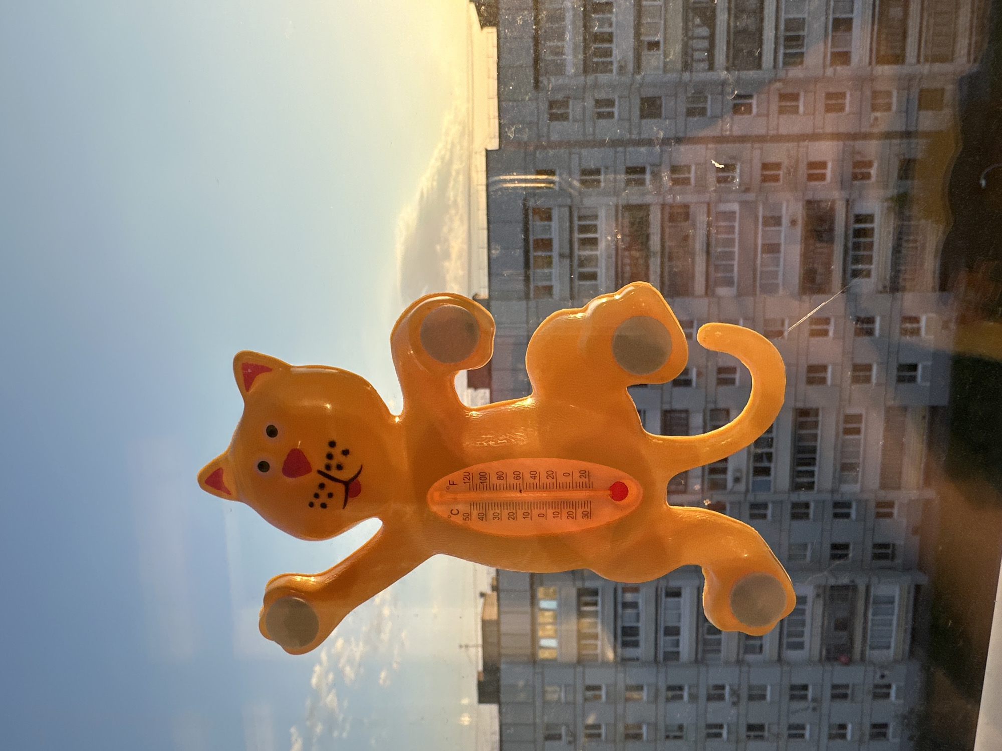 A yellow, cat-shaped thermometer is affixed to a window pane. The thermometer reads approximately 22 degrees Celsius. Through the window, a multi-story apartment building with numerous windows is visible. The sky is partially visible, transitioning from blue to a lighter hue. The image captures a scene likely within an apartment, with the outside view revealing an urban environment, potentially in Chaikovsky, Russia.
