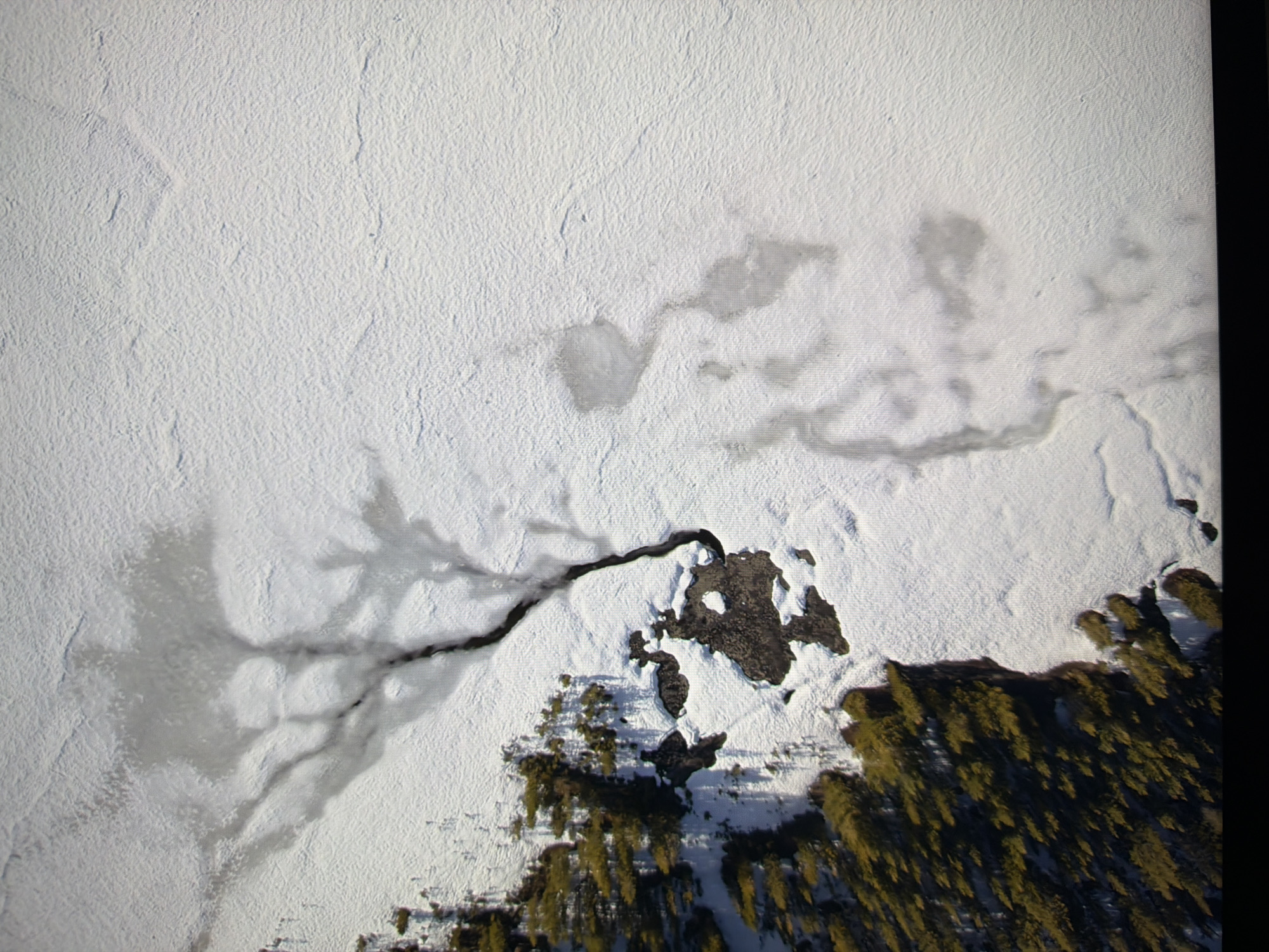 This is an aerial photograph showing a landscape covered in snow. On the left side of the image, there is a dense patch of green coniferous trees, indicating a forest. These trees are casting shadows on the snow-covered ground. A dark, winding path, likely a river or stream, cuts through the snow from the upper right towards the bottom left, where it disappears near the treeline and some dark, rocky patches. The snow-covered surface is uneven, with textured patterns and some areas of thinner ice or meltwater visible as darker, semi-transparent patches. There are no people or man-made structures visible in the image. The overall impression is one of a natural, wintery scene, possibly a forest area bordering a frozen body of water. There is no information in the image to suggest this location is in Kyiv, Ukraine.
