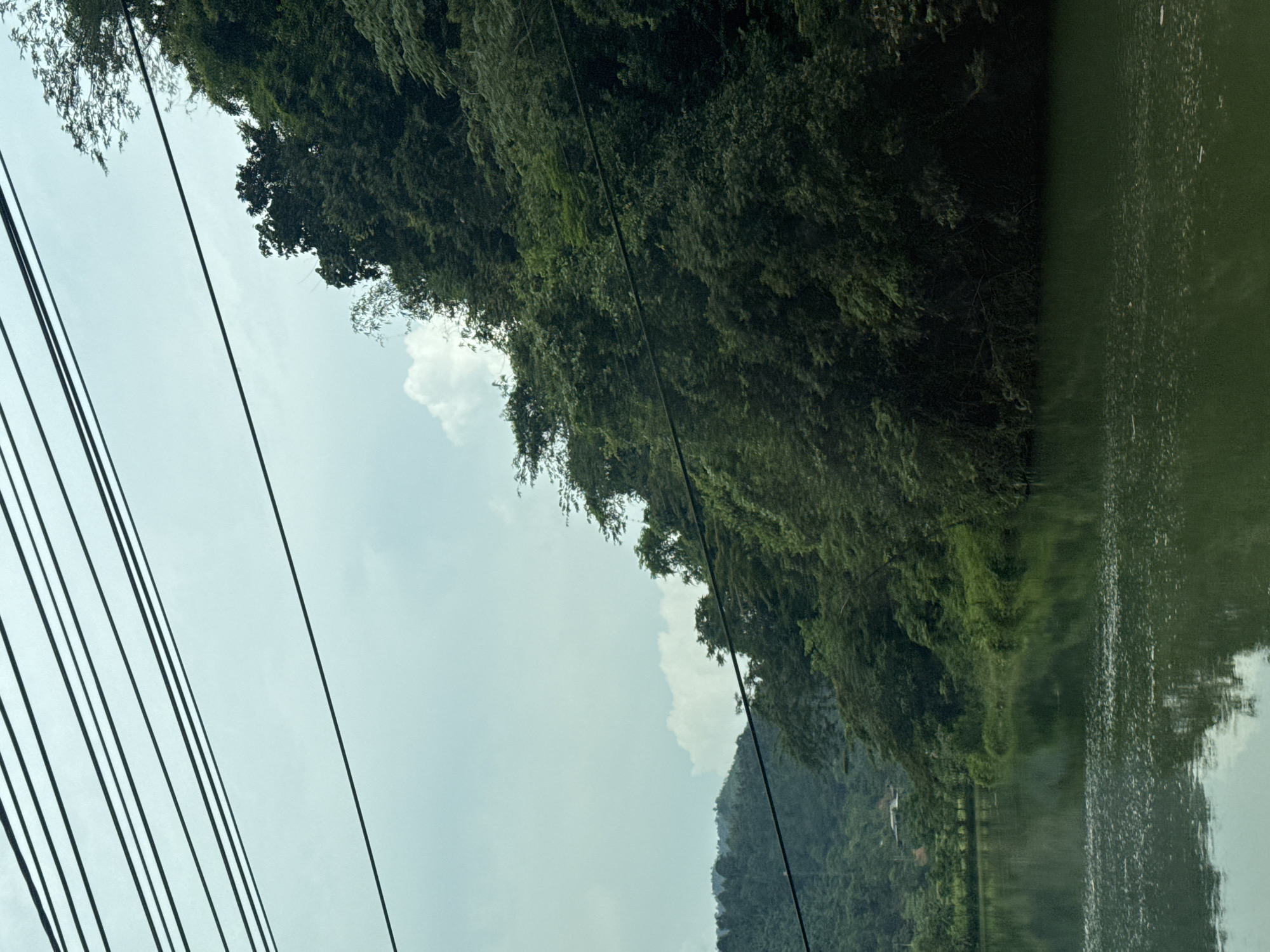 The image captures a landscape scene, possibly in or around Hà Giang 2 Ward, Vietnam, considering the mountainous terrain and lush vegetation typical of the region. The view is oriented diagonally, with the left side of the frame dominated by a pale sky traversed by several parallel black power lines.
To the right, a dense, green forest covers a hillside, its vegetation reflecting in a body of water that occupies the rightmost edge of the frame. The water surface shows some reflection and ripple effects. The top part of a mountain can be seen behind the trees.
The image suggests a rural or semi-urban setting where natural elements are prominent alongside infrastructural features like power lines.