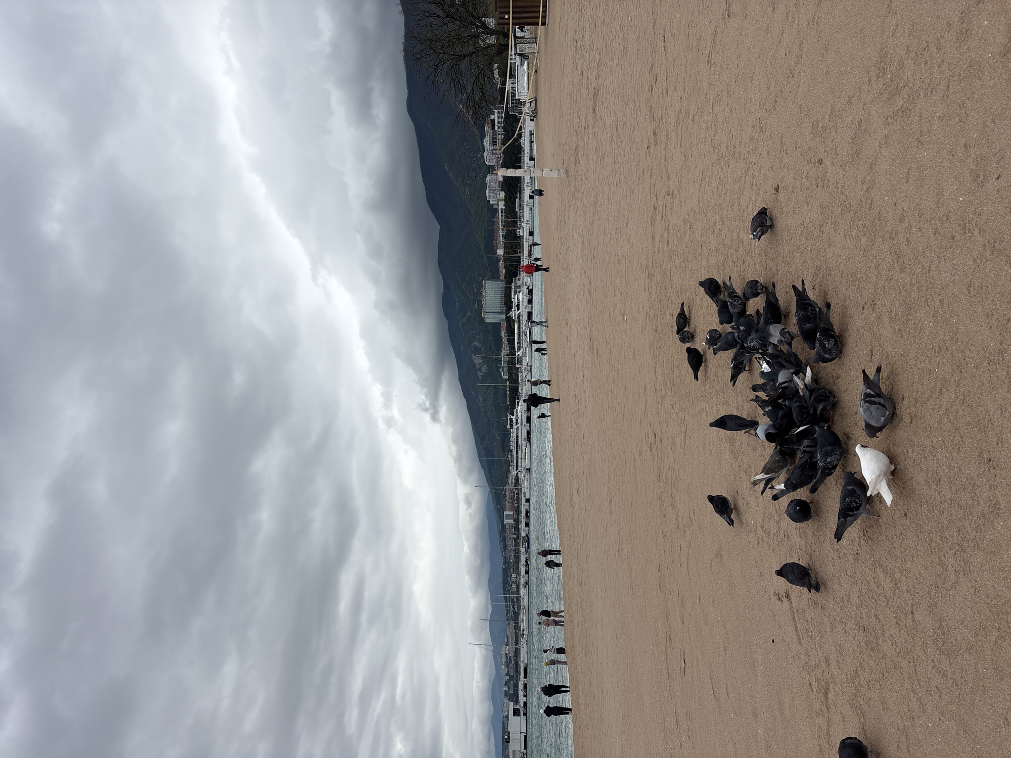 The image shows a cloudy day at a beach in Gelendzhik, Russia. A group of pigeons is gathered on the sand in the foreground, with one bird being entirely white. People are walking along a paved area near the water's edge. Buildings and docked boats are visible beyond the beach, with mountains rising in the background. The sky is overcast with dark, heavy clouds.