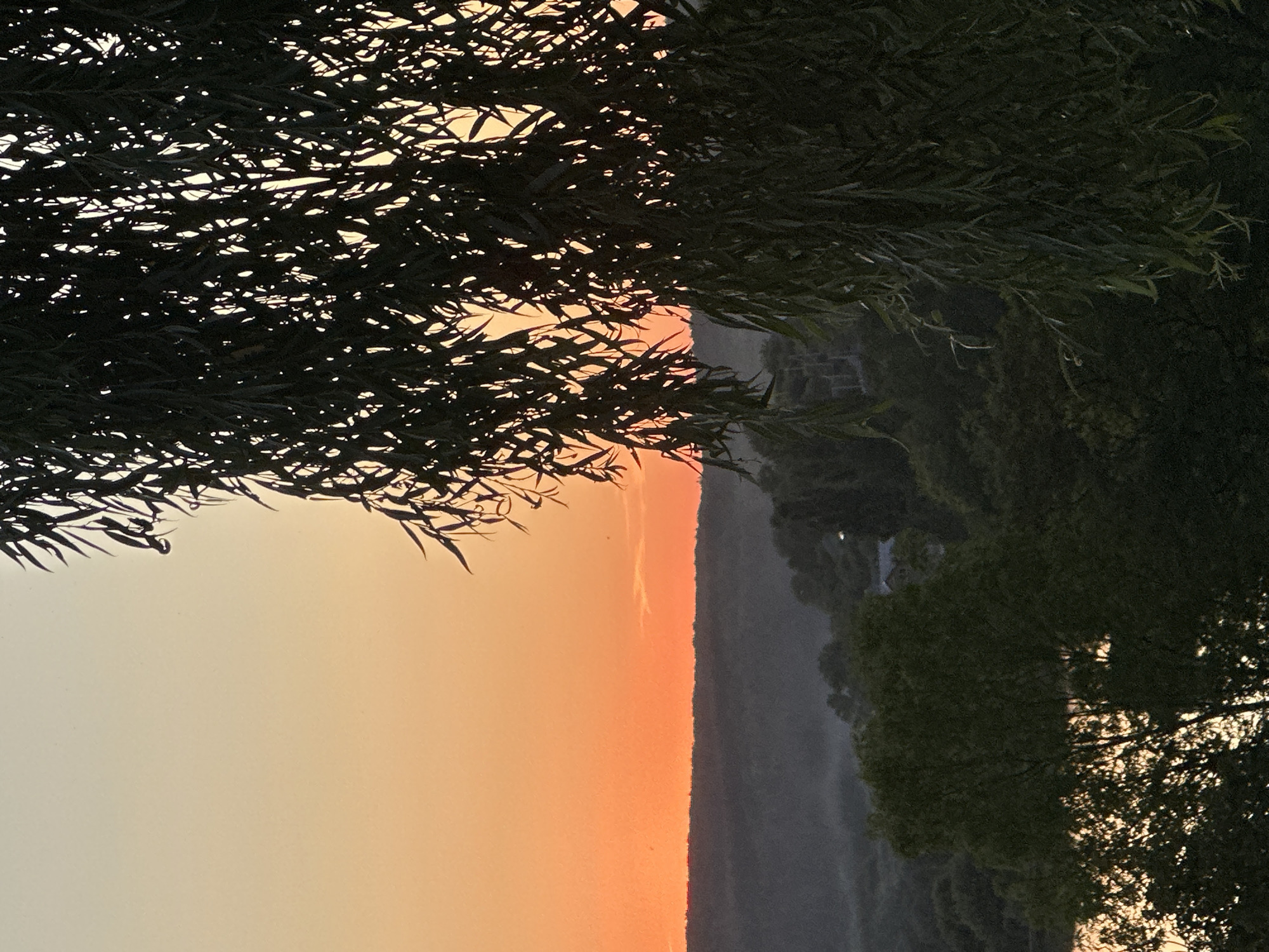 The image captures a serene sunset over a rural landscape, likely in Makiv, Ukraine. A silhouette of a weeping willow tree dominates the foreground, its long, flowing branches obscuring a portion of the vibrant orange and yellow sky. The middle ground features rolling hills covered in dense, dark green foliage, with a hint of mist rising from the valley. A body of water, possibly a river or lake, is visible to the left, reflecting the warm hues of the sunset. In the distance, scattered houses with faint lights suggest a small settlement. The overall atmosphere is peaceful and tranquil, characteristic of a countryside evening.