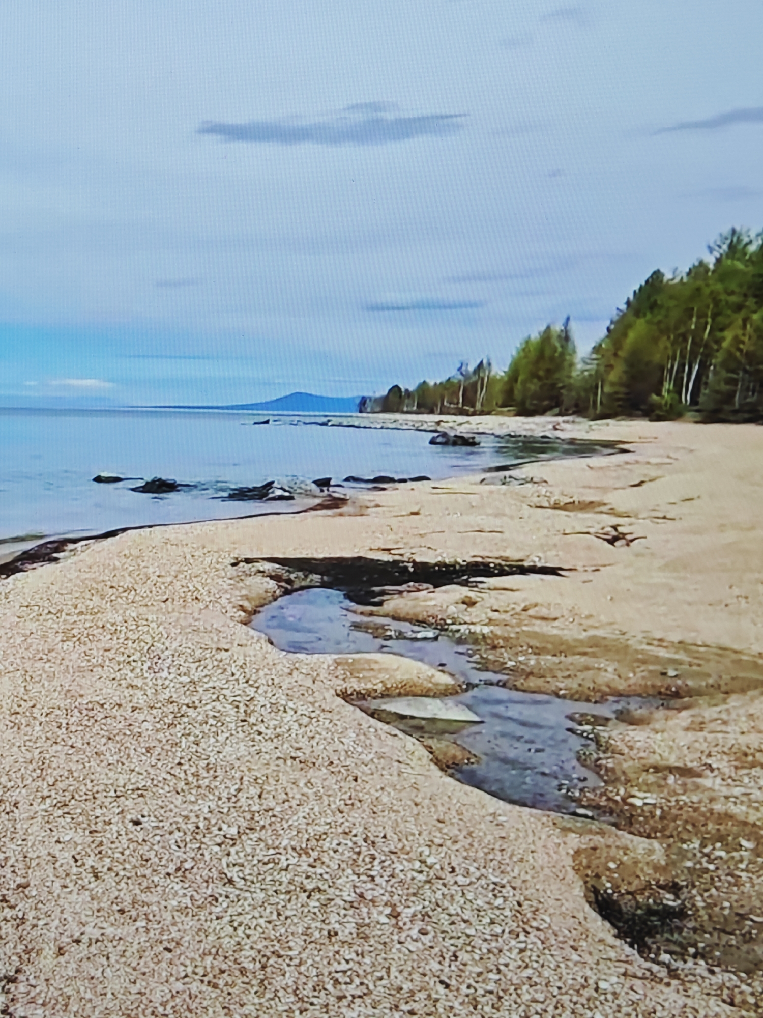 A tranquil scene unfolds along a pebble-strewn beach bordering a vast, calm body of water under a light blue sky with scattered, wispy clouds. The shoreline is lined with small, light-colored pebbles that transition into patches of damp sand in places. A shallow inlet of dark water snakes its way through the sand and pebbles near the foreground, reflecting the muted sky. Beyond the beach, a dense line of green trees, predominantly birch and pine, stretches across the landscape, their foliage appearing lush. In the far distance, a faint, dark blue mountain range is visible on the horizon, silhouetted against the sky. The overall impression is one of natural serenity and quietude.