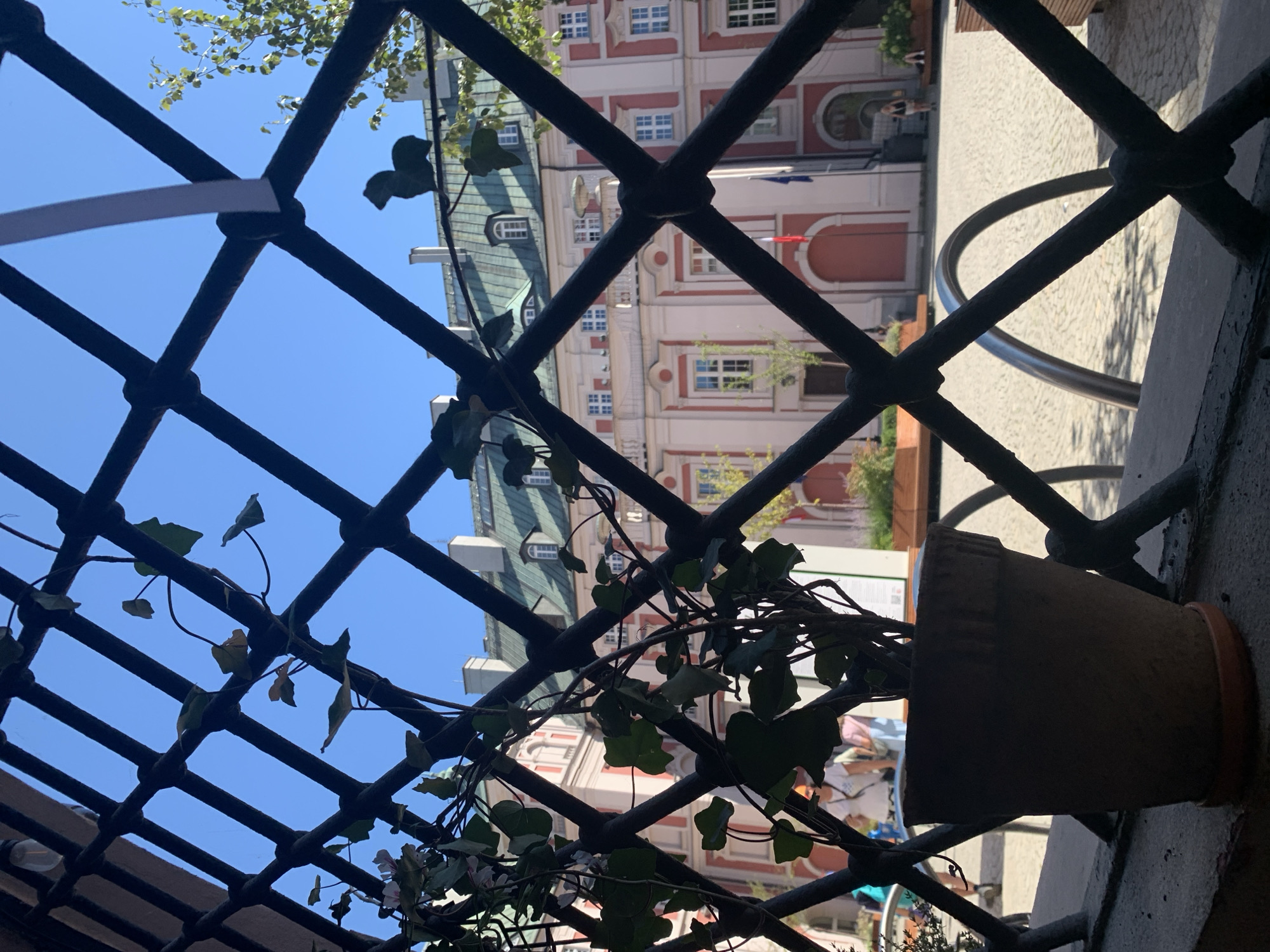 The image captures a view through a wrought iron grate, framing a potted plant and a courtyard in front of a building in Poznan, Poland. The courtyard appears to be paved with cobblestones, and in the background, a building with a red facade and a green roof with dormer windows is visible. The sky is clear and blue. A small, dark silhouette of an animal, possibly a dog, is perched atop the grate in the upper right portion of the image. To the left, a vine with green leaves and a few small white flowers climbs the grate, with its pot resting on a stone ledge in the foreground. Some people are visible in the courtyard, appearing to be walking or sitting, adding a sense of activity to the scene. The overall impression is that of a serene, sunlit public space within a historic European city.