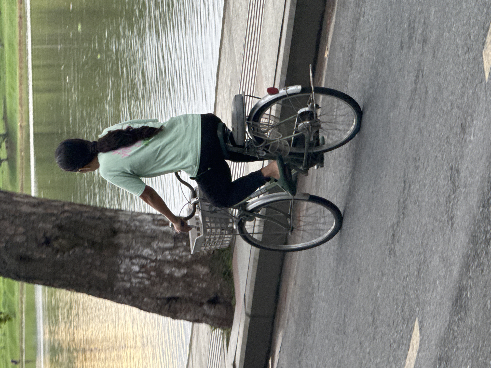 A person is riding a bicycle by a body of water in Xuân Hương Lake, Đà Lạt, Vietnam. The person, seen from behind, wears a light green t-shirt and black pants, with their hair in a ponytail. The bicycle has a basket on the handlebars and a luggage rack on the back. The setting appears to be a park or public area, with a paved path alongside the lake and a large tree trunk to the left of the frame. The water's surface is rippled, reflecting the sky.