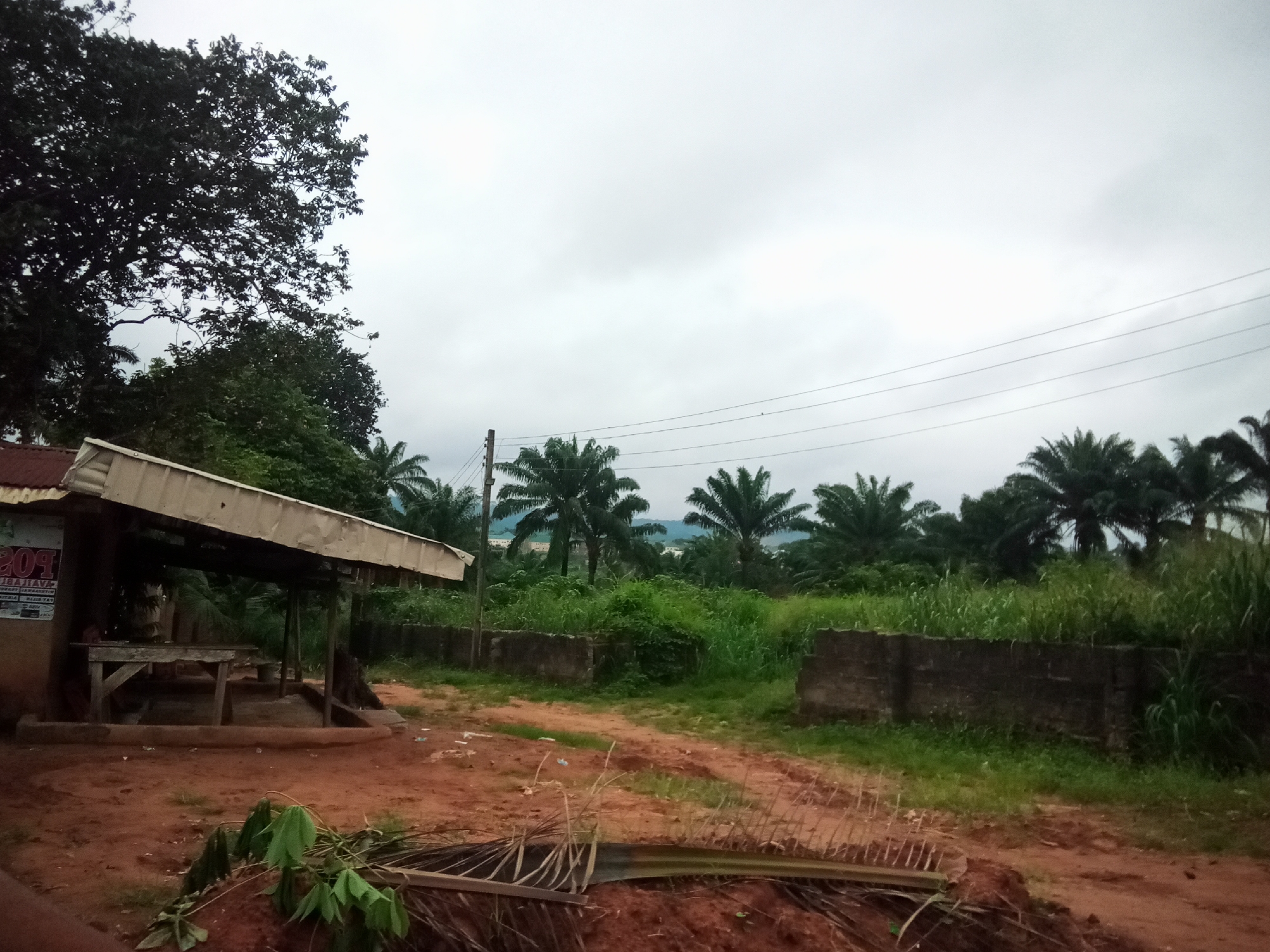 The image captures a scene in Nanka, Nigeria, under an overcast sky. In the foreground, a dusty, reddish-brown path leads towards the center, with some dried vegetation and palm fronds scattered on the ground. To the left, a simple structure with a corrugated metal roof extends over a wooden table and bench. A sign with text, partially obscured, is attached to the side of this structure. A person appears to be seated at the structure, though their features are indistinct. Beyond this, a low, dark-colored concrete wall runs horizontally across the frame, separating the foreground from an area of dense, tall green grass and vegetation. A line of mature palm trees, some with their characteristic fronds, forms a backdrop, interspersed with other trees and foliage. Power lines stretch across the upper portion of the image, supported by poles that are partially visible. The overall impression is a rural or semi-urban setting, likely a roadside stall or resting area, typical of some areas in Nanka, Nigeria.