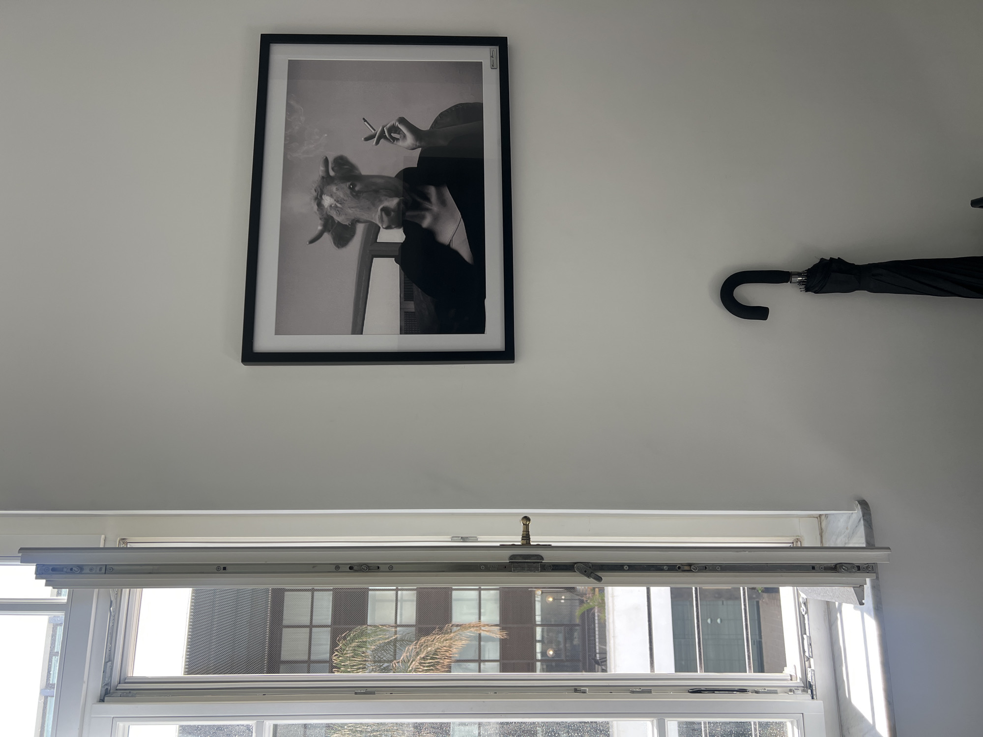 The image shows an interior view of a room. On the white wall, there's a framed black and white picture depicting a person with a cow's head smoking a cigarette, and an umbrella hanging on the right. Below, a window is slightly ajar, revealing an external view of a modern building and a palm tree, suggesting an urban environment. The reflection in the window implies the scene is in a city, possibly Tel-Aviv, Israel, due to the prevalent architectural style and vegetation. There are no people visible in the image, and the primary focus is on the objects within the room and the external urban scene visible through the window.