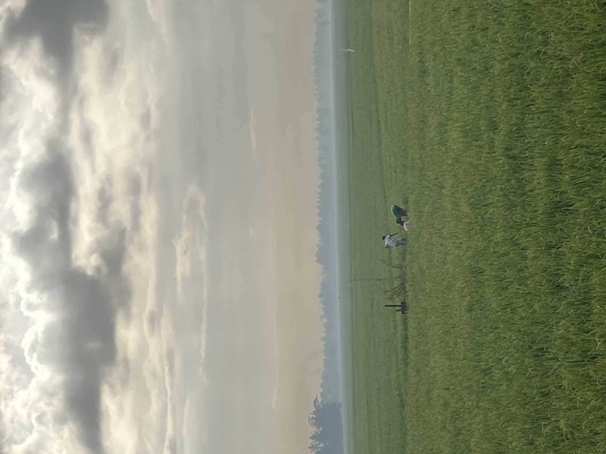 In a vast, green rice paddy field at Tambakreja, Indonesia, two individuals are engaged in agricultural work. The sky above is filled with dramatic, overcast clouds, with patches of sunlight breaking through. In the distance, a line of trees and vegetation forms a hazy, silhouetted horizon. One person, wearing a light-colored shirt, appears to be standing or walking, while the other, in a green shirt, is bent over, possibly harvesting or tending to the crops. A simple wooden post or structure is visible in the field near the workers. The overall impression is of a rural, agricultural landscape under a dynamic sky.