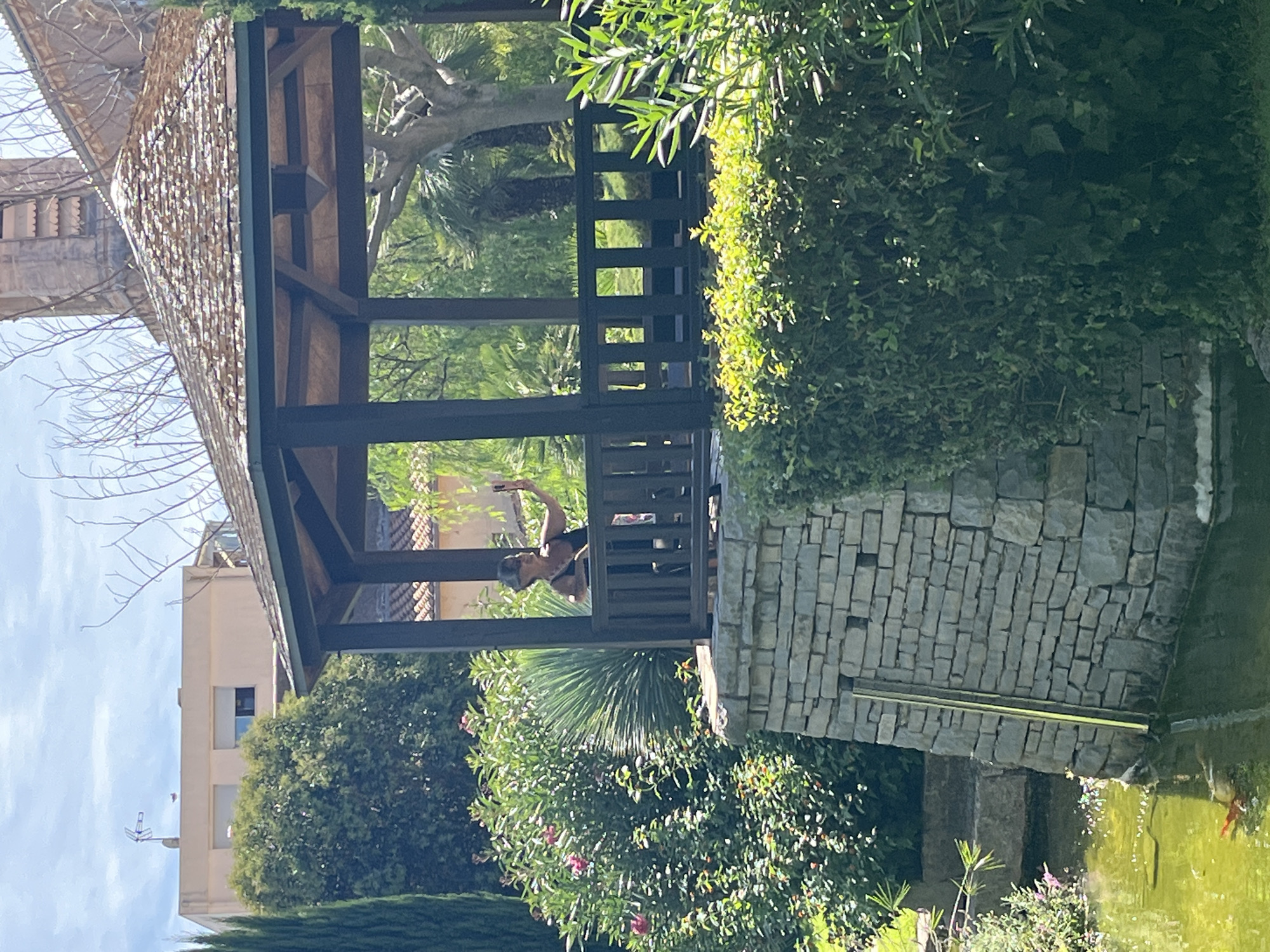 In the city of Palavas-les-Flots, France, a woman stands inside a wooden gazebo, holding a smartphone up to take a selfie. She is wearing a black tank top and dark pants. The gazebo has a wooden shingled roof and a dark wooden railing. Outside the gazebo, there is lush green vegetation, including a flowering bush with pink blossoms and a large spiky plant. To the left of the gazebo, a stone wall borders a pond of green water. A bright orange fish is visible in the pond. In the background, a building with light-colored walls and windows can be seen, along with a church spire. The sky is blue with scattered white clouds.