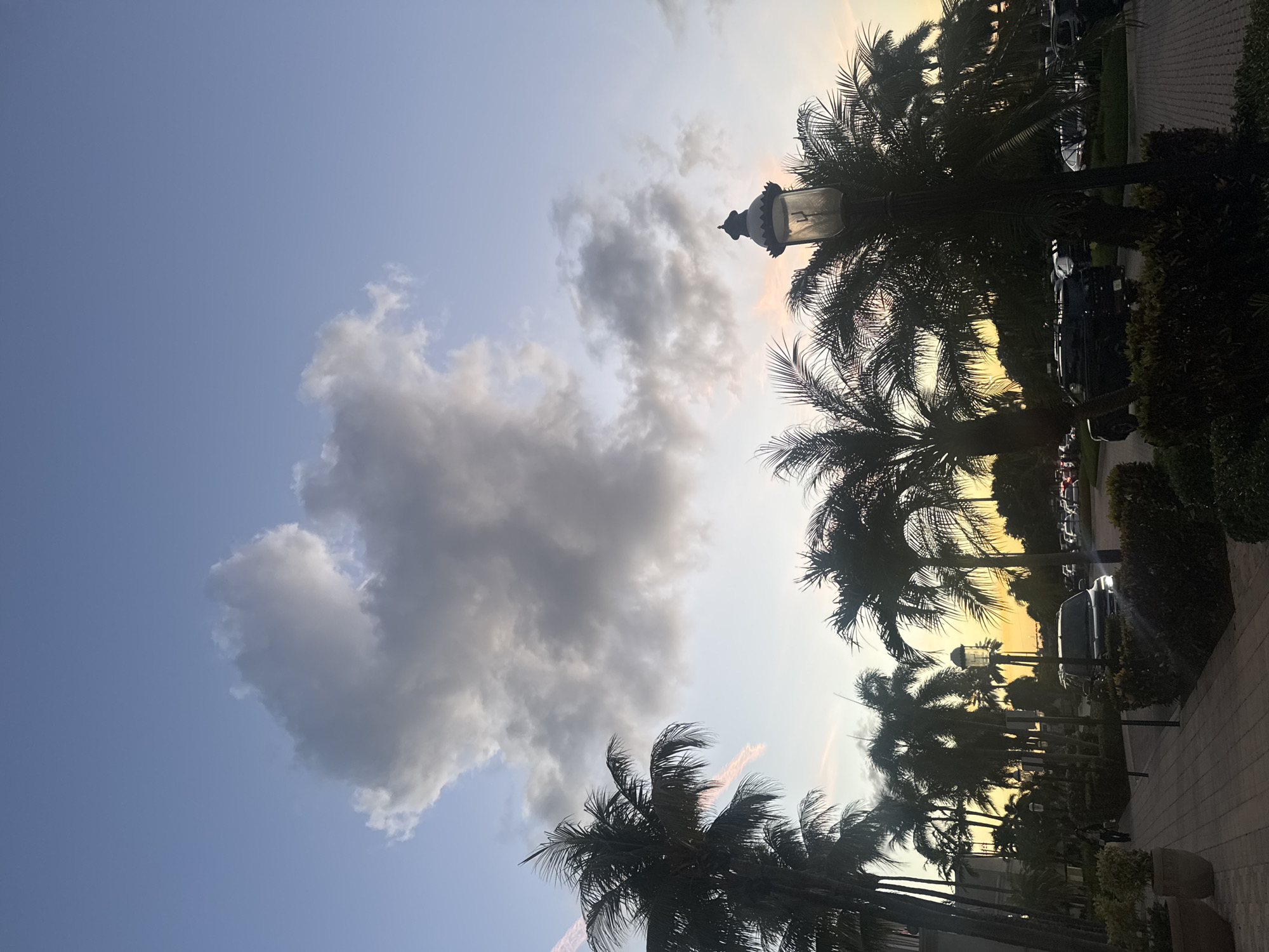 The image depicts an outdoor sunset scene in Boca Raton, United States of America, showcasing a blend of natural and developed elements within what appears to be an upscale commercial or resort area. The sky, transitioning from light blue overhead to warm yellow, orange, and pink at the horizon, features a prominent, brightly lit cumuliform cloud in the upper-center and darker, scattered clouds across the mid-sky. Numerous palm trees, silhouetted against the twilight, frame the lower half of the composition, with dense foliage on the left and right. In the mid-ground, a dark SUV with illuminated headlights is visible on a paved surface, part of a busy parking area to its right. A single individual walks on a patterned brick walkway in the mid-left, partially obscured by trees. A dark, ornate streetlamp with an active light source stands in the foreground, right of center, amidst palm fronds. Shrubbery and landscape elements line the walkways and roadways.