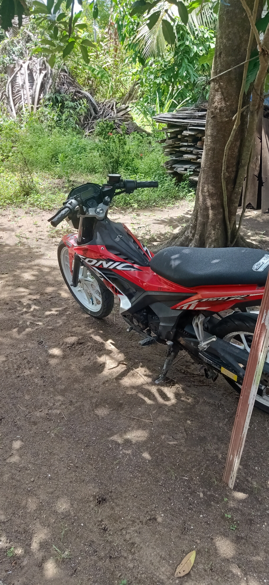 An eye-level, medium shot shows a red and black Honda motorcycle parked on a dirt ground in a rural area. The motorcycle is positioned on its kickstand, facing left, with its front wheel angled slightly inward. The scene appears to be in a natural outdoor setting, likely in or near Dakuta, Indonesia, given the lush green vegetation and trees visible in the background. To the right of the motorcycle, a large tree trunk with visible bark texture stands prominently, with a stack of weathered wooden planks leaning against it. The ground is composed of dark soil with scattered debris and dappled sunlight filtering through the overhead foliage, creating shadows on the ground. The motorcycle's handlebars, digital display, and part of the seat are visible, along with its white-rimmed front wheel and black rear wheel. The overall atmosphere is one of a quiet, possibly unattended, rural roadside or yard.