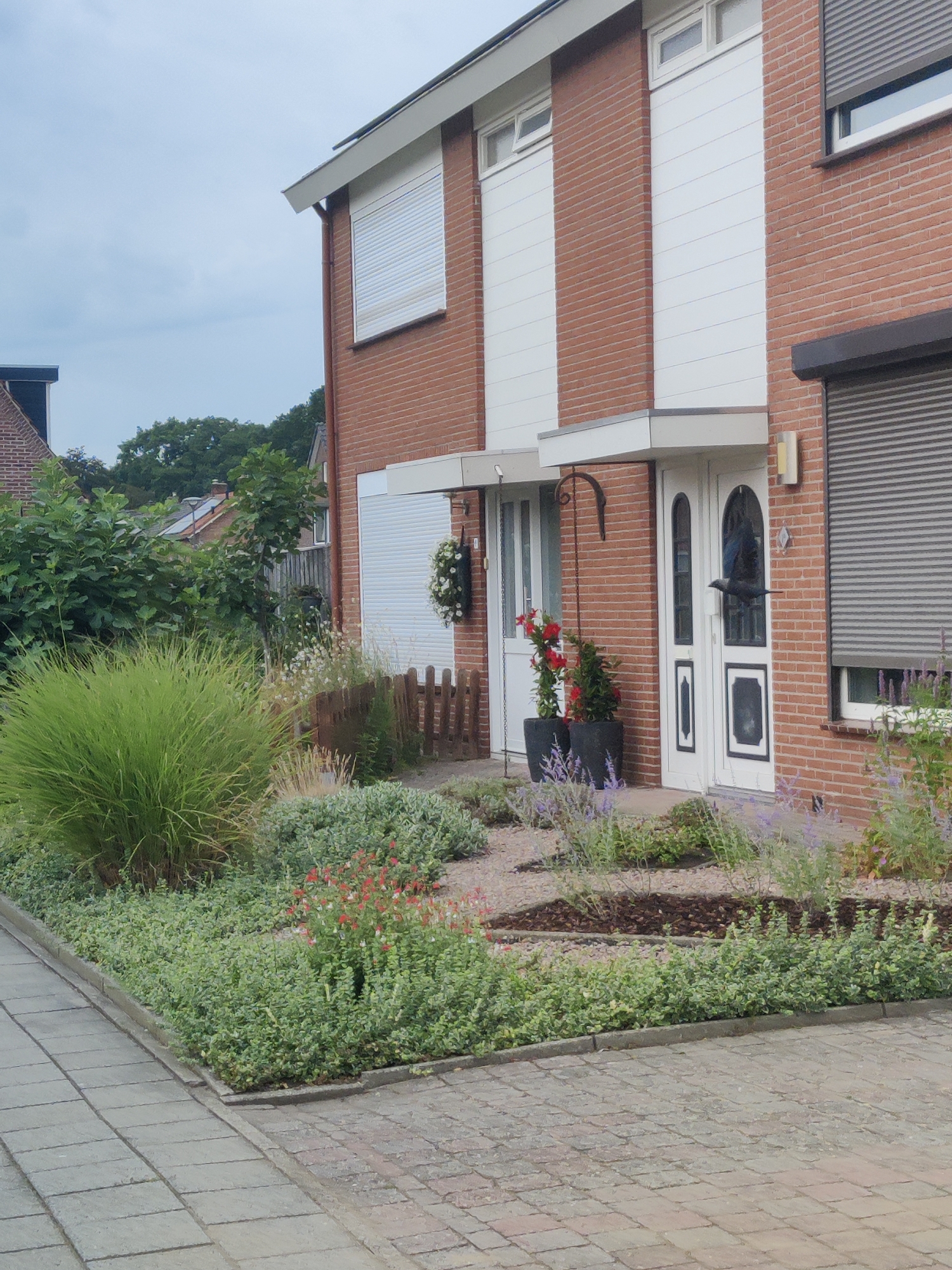 The image depicts a suburban street scene in Winterswijk, Netherlands, on an overcast day. In the foreground, a walkway paved with light gray interlocking stones leads to a well-maintained garden in front of a modern brick house. The garden features a variety of low-lying green shrubs, ornamental grasses, and flowering plants with red and purple blooms. A small, rustic wooden fence borders a section of the garden.
The house itself is a two-story structure with a prominent red brick facade and white vertical siding. It has several windows, some covered by white roller shutters. Two entrances are visible, each with a white door featuring dark decorative panels and glass inserts. One door has a hanging basket of white flowers. A black bird, possibly a jackdaw, is in mid-flight in front of the right-hand door.
In the background, more residential buildings and mature trees are visible. The sky is uniformly gray, suggesting cloudy weather. The overall impression is one of a quiet, tidy residential neighborhood.