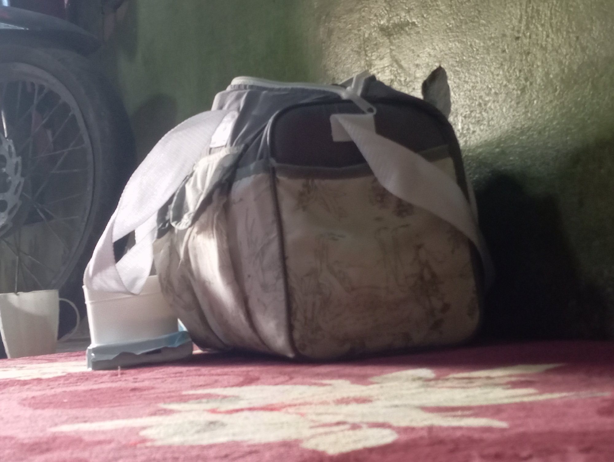 The image depicts a low-angle shot of a large, patterned fabric bag resting on a red carpet with a floral design. To the left of the bag, a white ceramic mug is visible, and in front of it, a white cylindrical container sits on a blue base. In the background, a motorcycle wheel with spokes is partially visible on the left, and a textured green wall is present on the right. A dark shadow is cast on the wall behind the bag. The scene appears to be indoors, possibly in a residential setting in Rejosari, Indonesia, given the context provided.