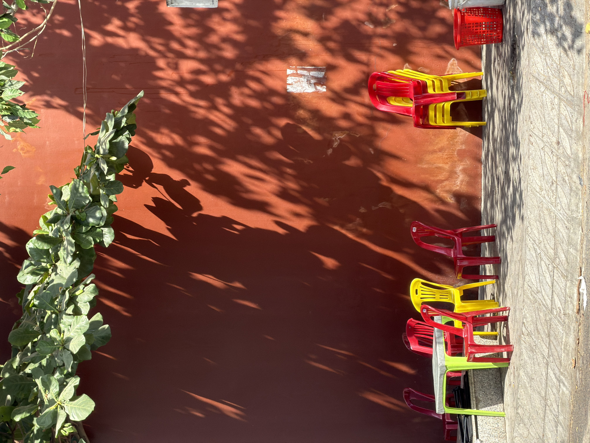 Exterior shot of a brick-colored wall in Đà Nẵng, Vietnam, with a creeper plant growing on the left side of the wall. Shadows from foliage fall on the wall. The right side of the image shows a sidewalk with plastic chairs stacked. The chairs are in various colors: red, yellow, and green. A red plastic basket sits on top of the chairs. Sunlight is evident. The image appears to be taken during the daytime.