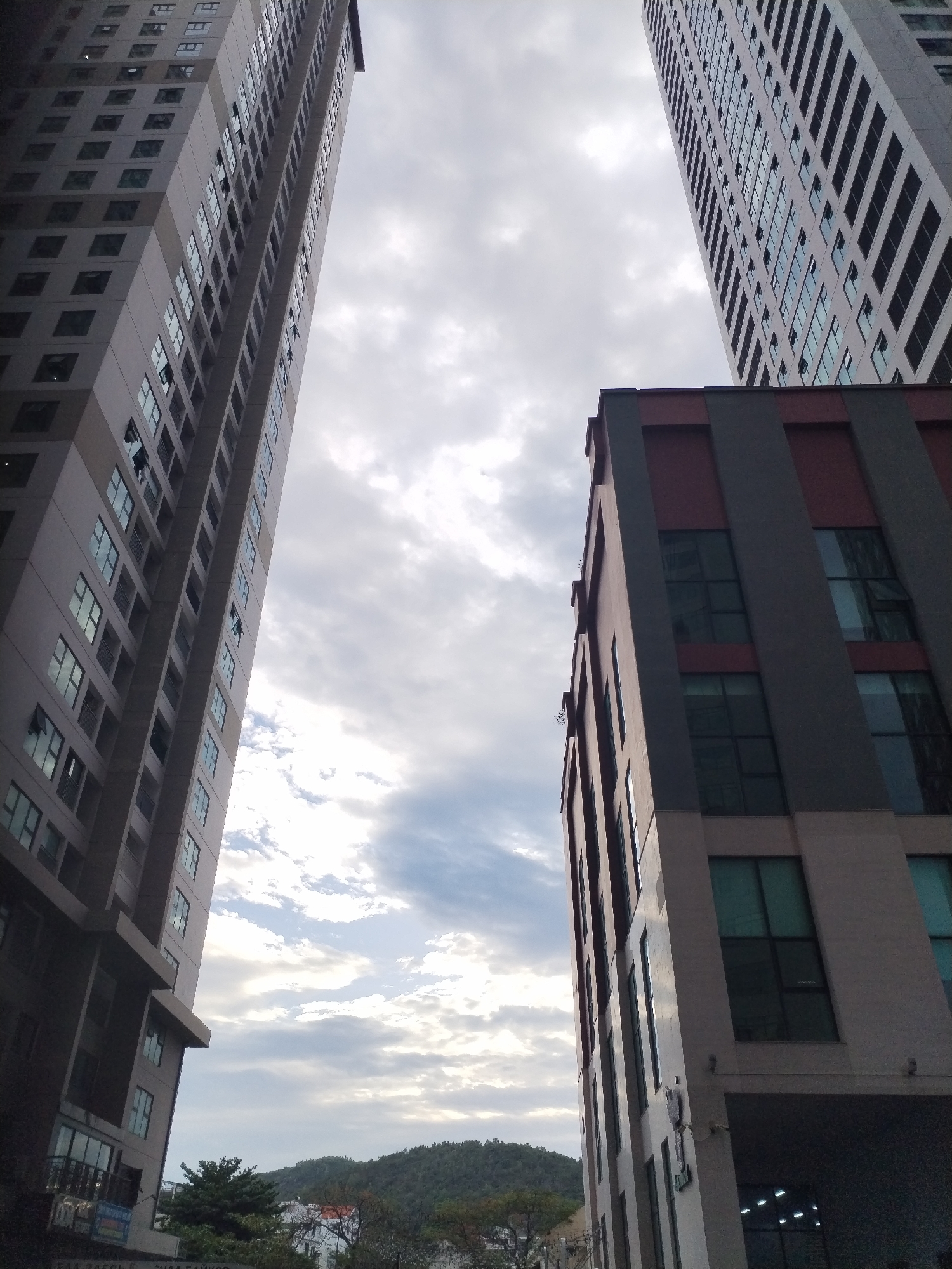 The image captures an upward view in an urban setting, featuring three prominent buildings under an overcast sky. Two tall, modern high-rise buildings, likely apartment blocks or offices, dominate the left and right sides of the frame. The left building is light-colored with numerous dark-paned windows, some slightly ajar. The right building, also tall, mirrors a similar contemporary design.
In the lower right quadrant, a distinct, mid-rise building with a darker facade is visible. It features alternating sections of reddish-brown and dark grey paneling, along with large windows. The sky above is filled with soft, scattered white and grey clouds, indicating an overcast daytime.
At the base of the left high-rise, green foliage and trees are visible, and beyond them, distant hills or mountains covered in lush greenery define the horizon. On the ground level of the left building, a sign with Cyrillic text, "СИЛА БАЙКОВ" (Sila Baikov), is partially legible, suggesting a business related to bikes or power. No people or specific activities are discernible. The scene depicts a modern urban landscape in Bac Nha Trang Ward, Vietnam, characterized by contemporary architecture and a cloudy, yet bright, atmosphere.