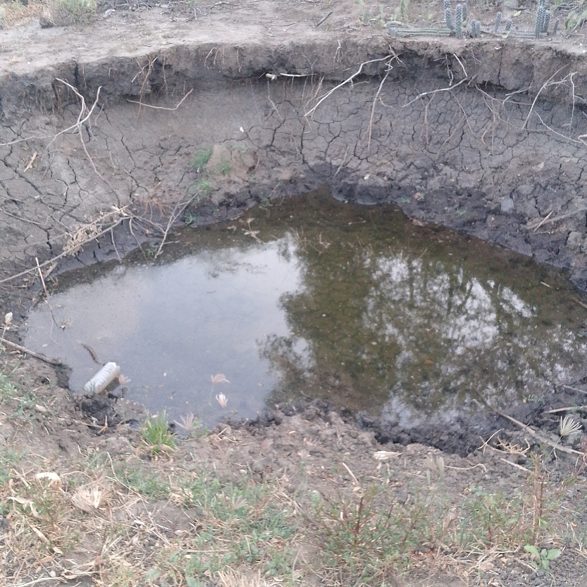 The image shows a water-filled hole in the ground, possibly in Altagracia, Venezuela. The hole has cracked, dry earth walls with exposed roots. Water reflects the sky and trees. There is litter in the water, including a plastic bottle. Vegetation surrounds the hole.