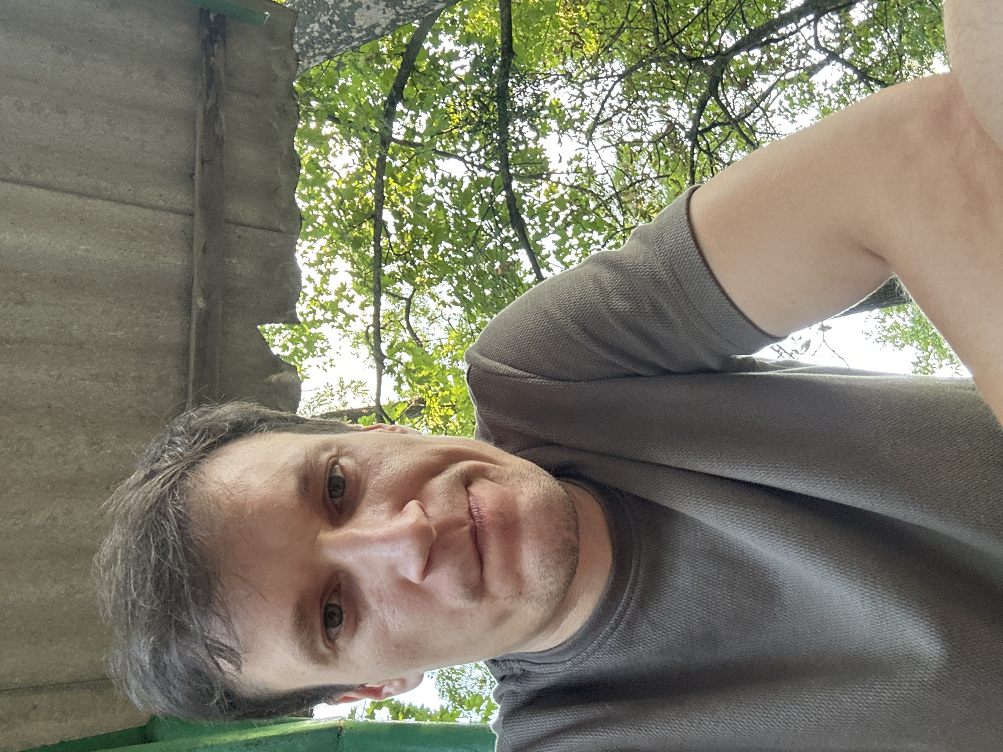 A man is taking a selfie outdoors. He is wearing a dark grey t-shirt. His face is framed by dark brown hair. He has a slightly worried expression, with his lips pursed and eyebrows furrowed. The background shows a corrugated metal roof overhead, supported by a green metal pole on the left. Sunlight filters through lush green tree leaves behind him, suggesting it is daytime. The man's right arm and shoulder are visible on the right side of the frame, bent at the elbow. The image appears to be taken at ground level, looking upwards.