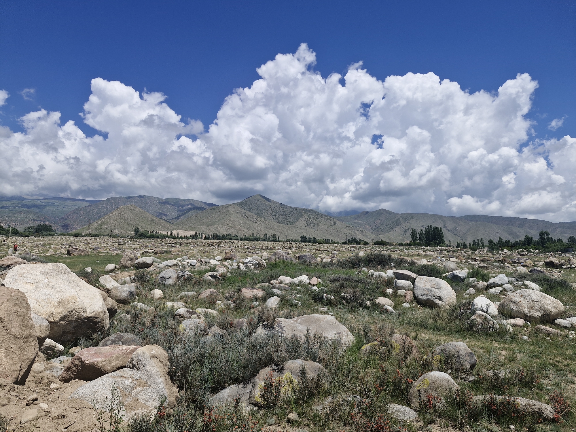 The image depicts a wide-angle landscape scene under a bright blue sky with prominent white cumulus clouds. In the foreground, a rocky terrain is visible, characterized by numerous rounded boulders of varying sizes scattered across sparse green and dry grass. Some of the rocks are large, while others are smaller pebbles. Patches of low-lying green and dry vegetation, including some with reddish-brown seed heads, are interspersed among the rocks. In the mid-ground, the terrain slopes gently upward, featuring more rocks and vegetation, with a line of scattered trees and a few sparse structures visible in the distance. Beyond this, a range of rugged, green-covered mountains forms the backdrop, with some lower hills in the immediate foreground of the mountain range. The overall impression is of a natural, somewhat arid landscape. One small figure, appearing to be a person, is visible on the far left of the mid-ground, walking on the rocky plain. The scene is consistent with the terrain found in and around Cholpon-Ata, Kyrgyzstan, which is known for its natural beauty with mountainous surroundings and a rocky terrain, particularly in areas away from the immediate shoreline of Lake Issyk-Kul.