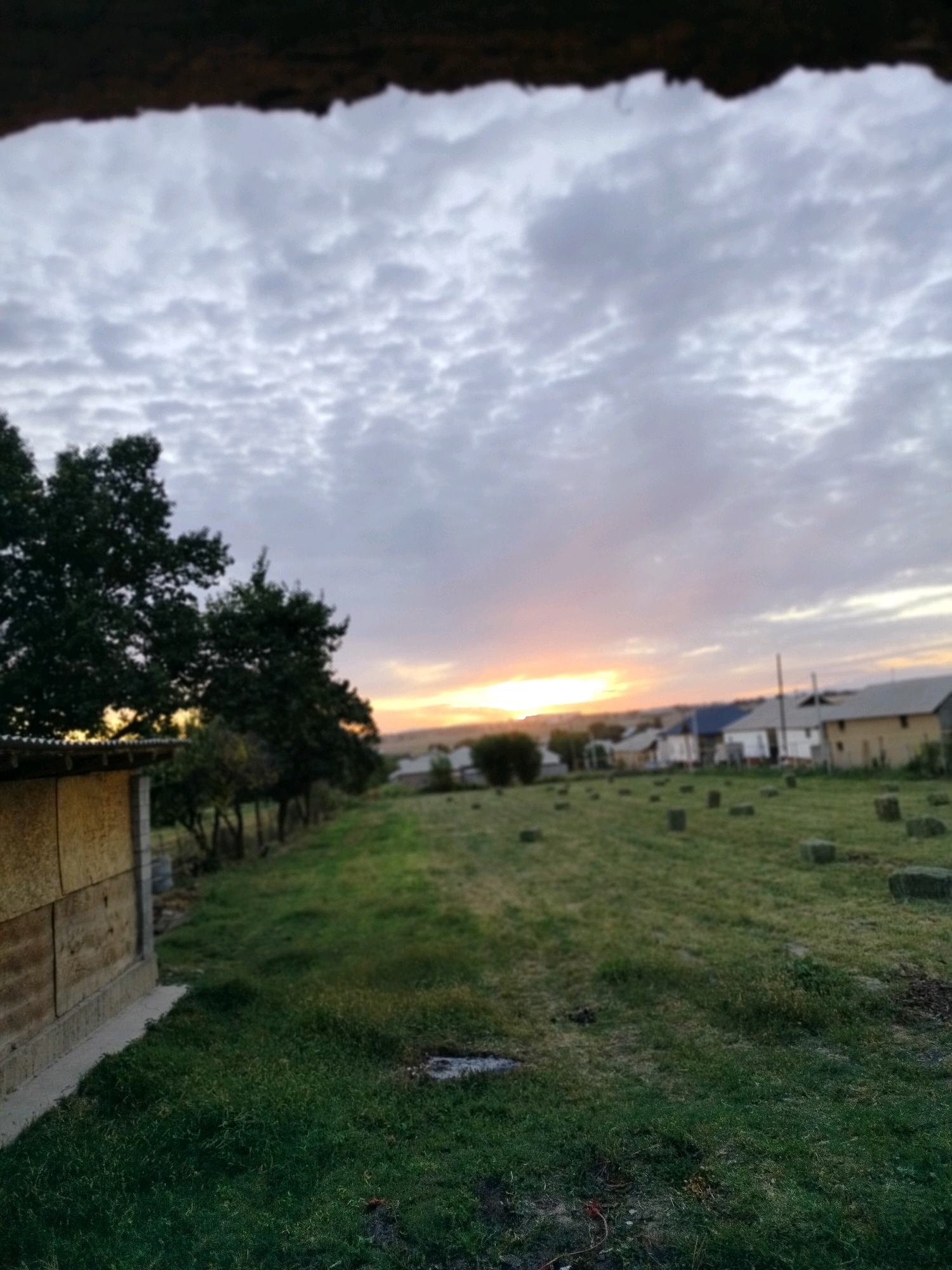 The image captures a rural landscape at dusk, possibly in the city of Kölkent, Kazakhstan, given the presence of hay bales in a field and the architectural style of the distant houses. A portion of a structure, likely a shed or barn with a corrugated roof and textured walls, occupies the lower left corner of the frame. Beyond this structure, a line of trees is visible, separating the foreground from a gently sloping field. This field is dotted with numerous rectangular hay bales, suggesting agricultural activity. In the background, a cluster of houses with various roof colors stretches across the horizon, indicating a small settlement. The sky above is a mix of grey clouds and a gradient of sunset colors, with the sun's glow peaking through on the left side of the horizon. The overall scene evokes a peaceful, end-of-day atmosphere in a rural setting.