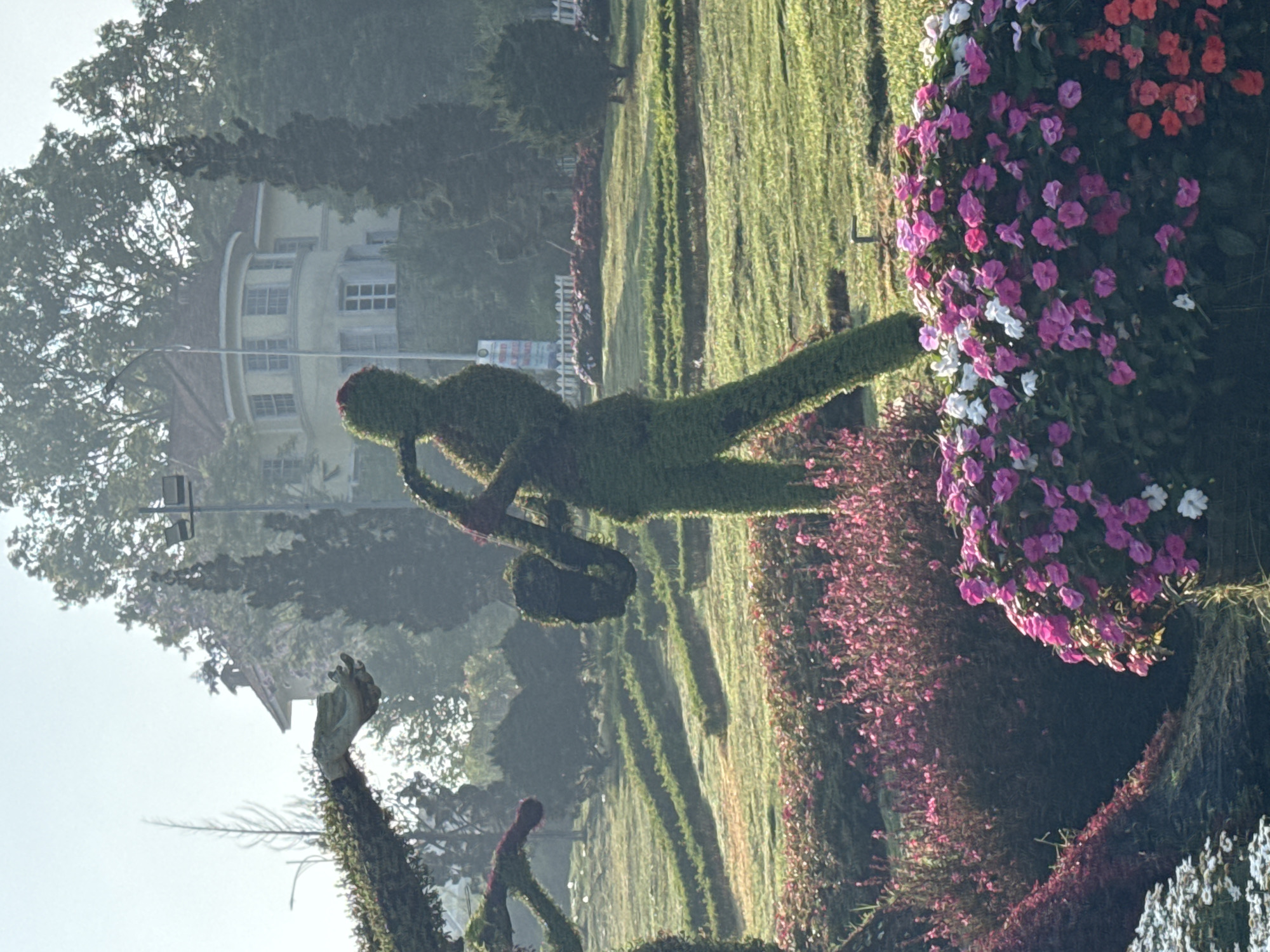 The image displays a beautifully landscaped garden or park, likely a botanical garden, bathed in soft, natural light, suggesting either early morning or late afternoon.
The central focus is a prominent topiary sculpture of a person, appearing to be a male figure, playing a saxophone. This intricate green sculpture stands on a well-maintained lawn. To the lower left of the saxophone player, another topiary of a long-necked animal, possibly a giraffe, is visible, reaching its head upwards.
Vibrant flowerbeds, rich with pink, purple, white, and red blossoms, densely populate the foreground and midground, forming decorative borders and clusters around the topiaries and along pathways. These flowers add a strong burst of color and texture to the scene. The ground is predominantly covered in neatly manicured green grass.
In the background, numerous tall, leafy trees line the perimeter of the garden. Partially visible through these trees is a light-colored, multi-story building with a number of windows, exhibiting a classic or colonial architectural style. The sky above is bright but shows a slight atmospheric haze. There is no visible text in the image. The overall atmosphere is serene and artistic, showcasing elaborate horticultural design.