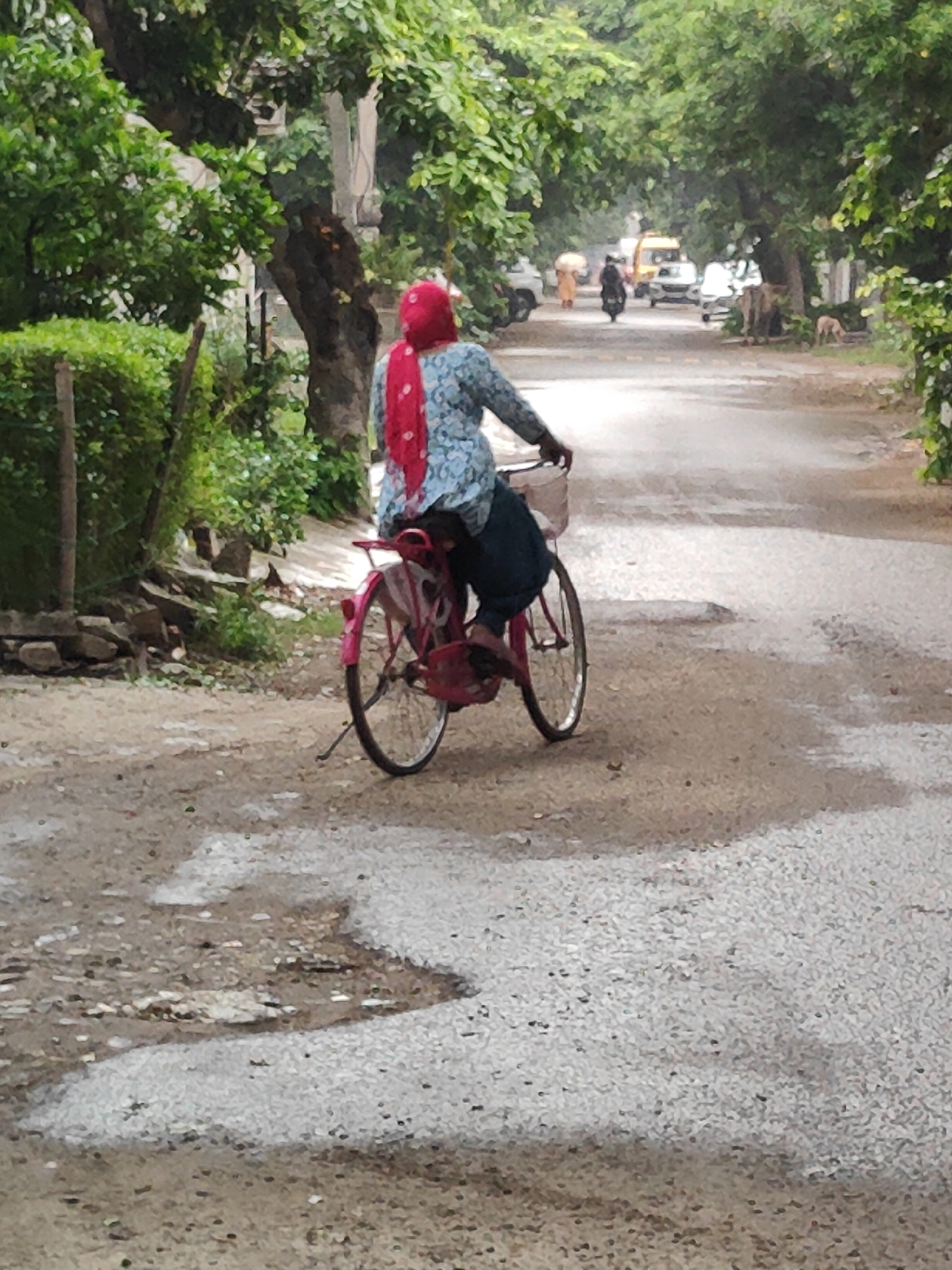 A person wearing a red headscarf and a light blue patterned shirt with dark pants rides a pink bicycle on a wet, unpaved road in Gurgaon, India. The person is seen from behind, with their right hand on the handlebars. The bicycle has a basket on the front. The road is surrounded by trees with lush green foliage, some of which overhang the road, creating a canopy. In the background, other vehicles, including a yellow auto-rickshaw and a white car, are visible on the same road. A dog stands on the side of the road in the middle distance. The ground surface is uneven, with patches of wetness and scattered stones. The scene appears to be on a cloudy day, given the diffused light.