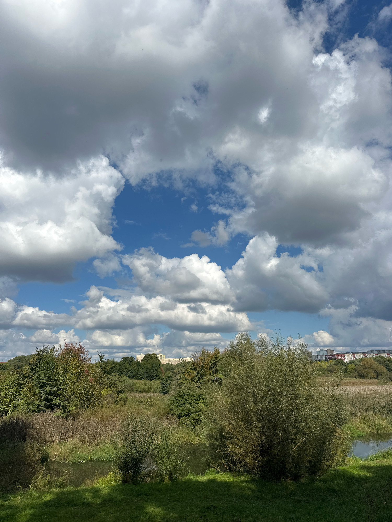 The image depicts a natural landscape with a body of water in the foreground, surrounded by reeds and vegetation. Beyond this natural area, there is a line of trees, and in the distance, there are several multi-story buildings, suggesting an urban or suburban setting. The sky is partially filled with large, white and gray clouds, with patches of blue sky visible.
Based on the architectural style of the buildings in the distance and the overall landscape, this scene is likely located in the area of **Michalowo district, Minsk, Belarus**. Specifically, the view appears to be looking towards the residential buildings located near the Tsentralnaya Street or Prospekt Dzerzhinskogo area, with the natural landscape being a park or green zone adjacent to these buildings.