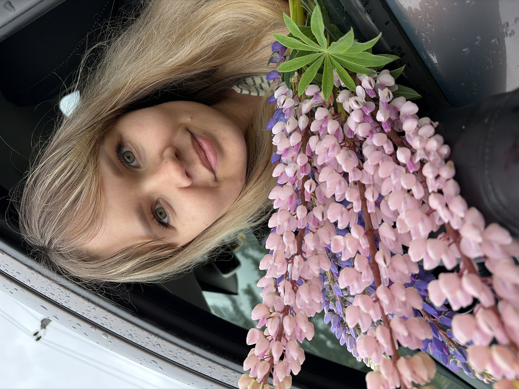 A woman with long blonde hair and green eyes looks at the camera while holding a bouquet of pink and purple lupine flowers. The woman is inside a car, visible through the open sunroof. The car's interior is black. Raindrops are visible on the car's exterior. The location is Chaikovsky, Russia.