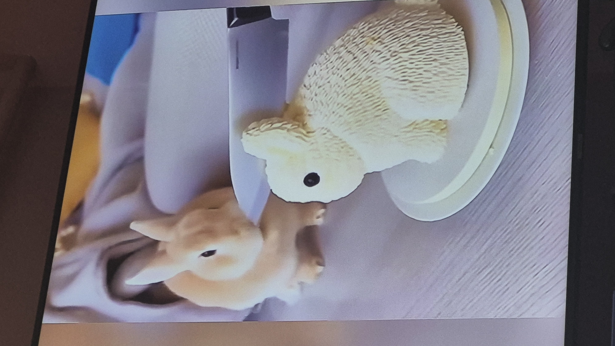 The image shows two bunny-shaped objects on a light-colored, textured surface. In the foreground, on the right, is a light yellow, textured bunny figurine sitting on a white circular stand. Its eyes are black dots. To the left and slightly behind it, a real, light brown bunny is facing the figurine. The real bunny is seated and appears to be looking at the figurine. The background is blurred and shows some soft fabric in pastel colors. A portion of a silver object, possibly a knife, is visible behind the figurine. The scene appears to be indoors, on a table or countertop. There is no indication of the location in Švenčionys, Lithuania.