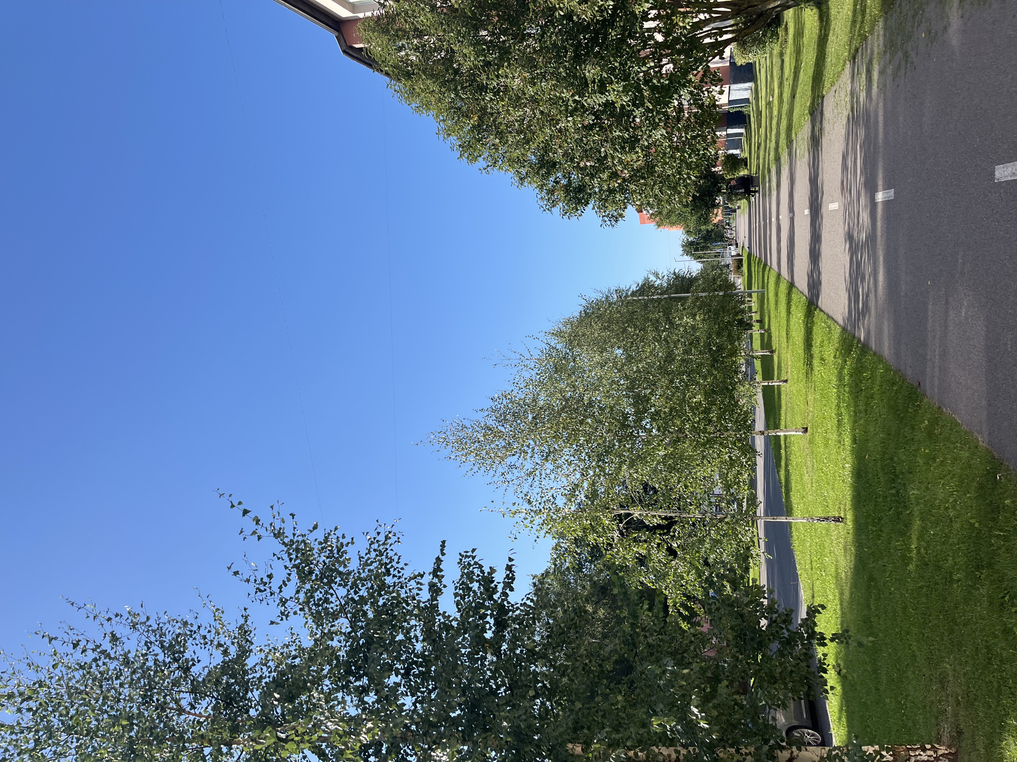 A paved walkway with white dashed lines runs through a grassy area lined with trees. On the left, birch trees with white bark and green leaves are visible, with a car parked in the background. On the right, a building with a pinkish-red facade and dark trim stands adjacent to a line of green trees. In the distance, other buildings and trees are visible under a clear blue sky. A person is sitting on a bench in the middle ground of the walkway. The scene appears to be a public park or residential area in Kohtla-Järve linn, Estonia.